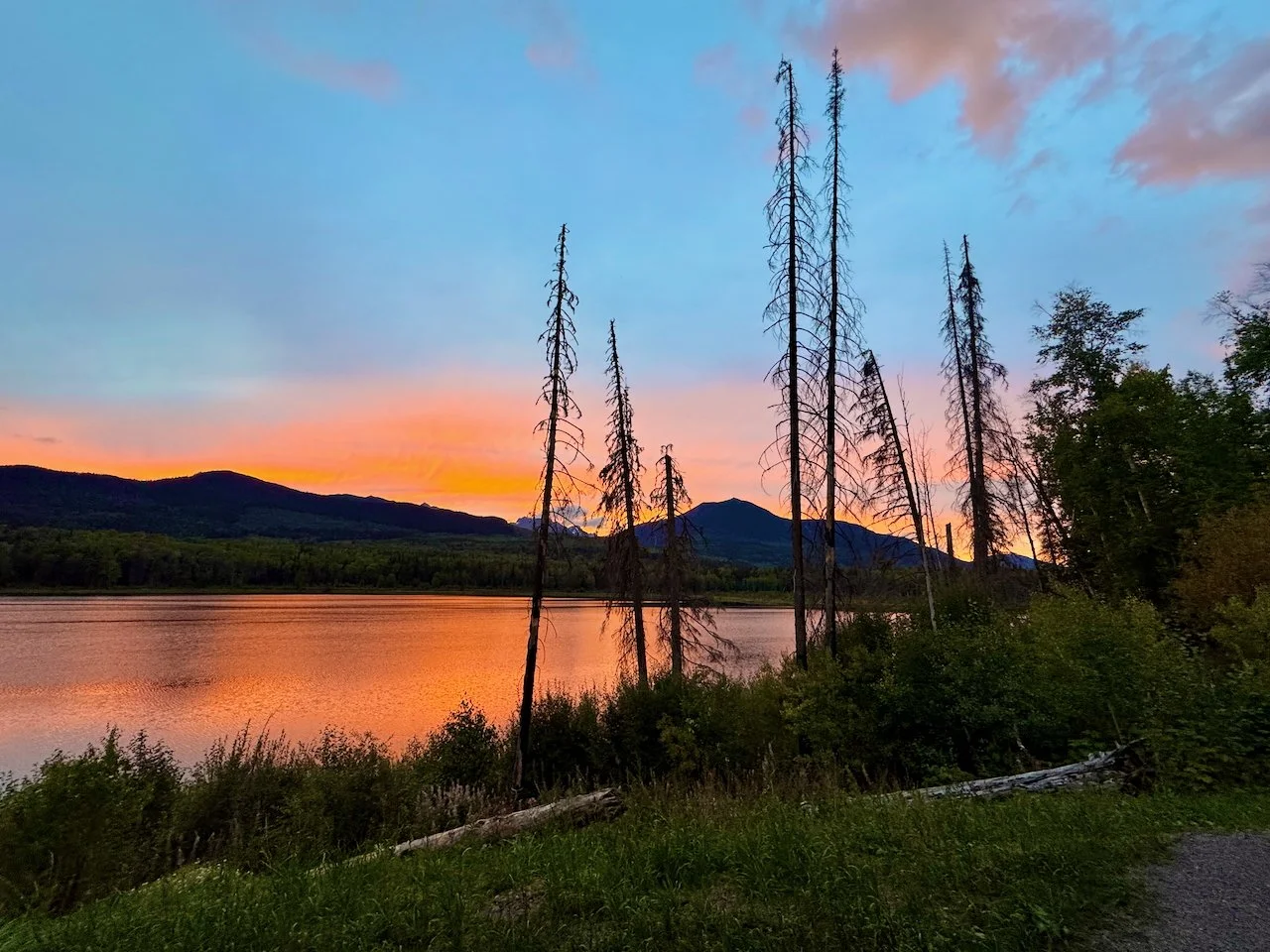 Favorites - 81 of 87.jpeg