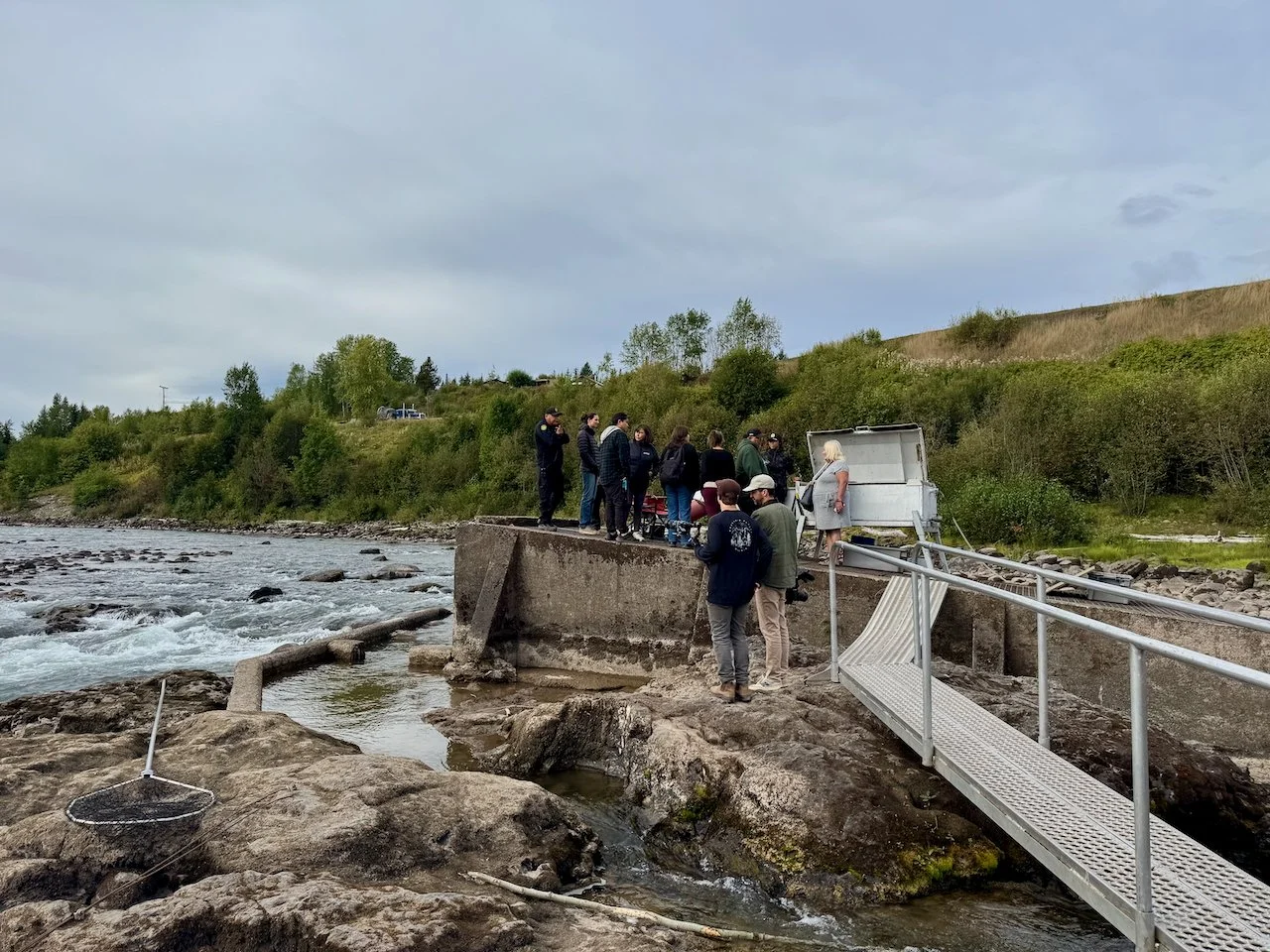 Favorites - 4 of 87.jpeg