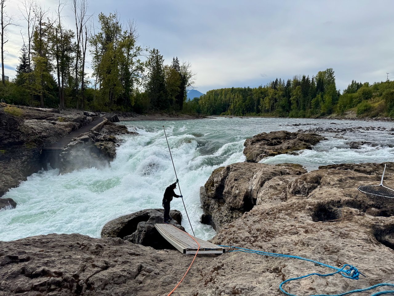 Favorites - 3 of 87.jpeg