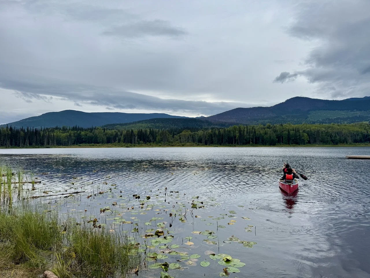 Favorites - 29 of 87.jpeg