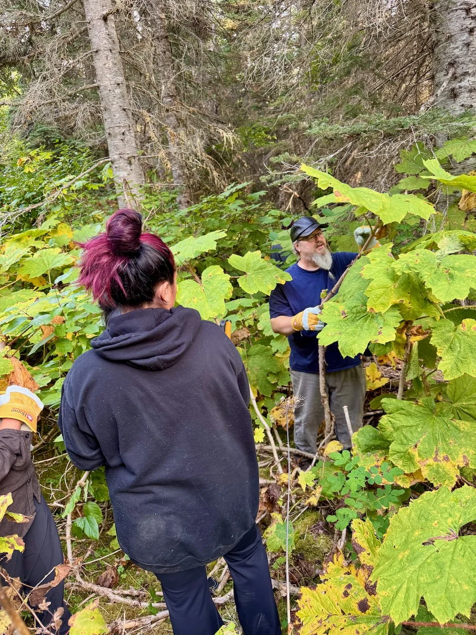 Favorites - 62 of 87.jpeg