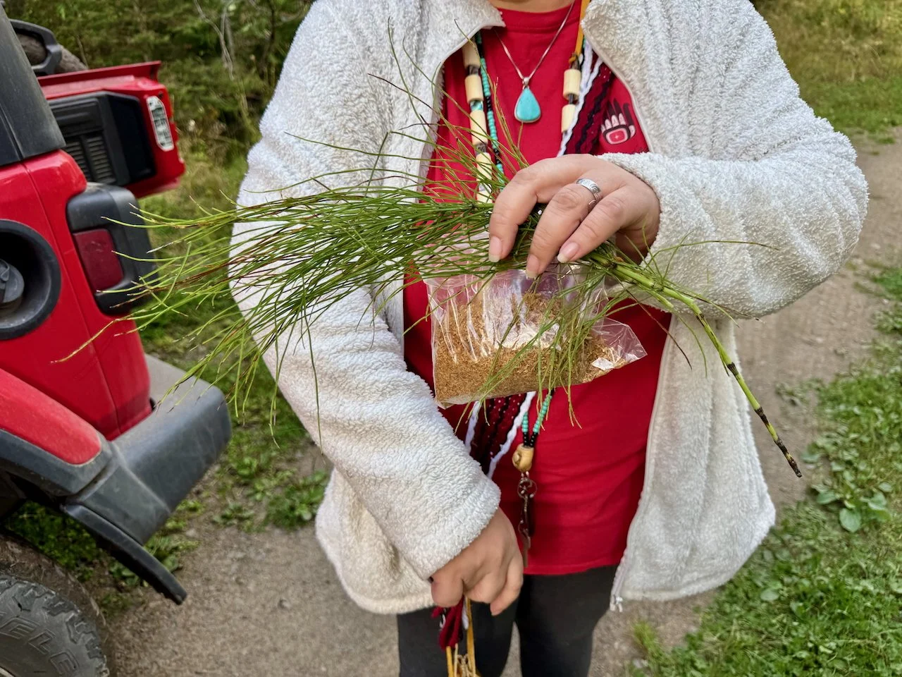 Favorites - 61 of 87.jpeg