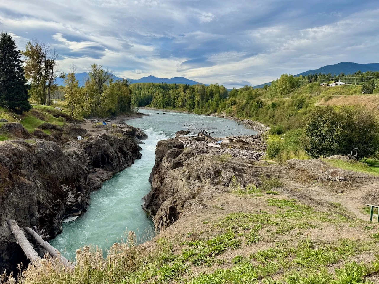 Favorites - 1 of 87.jpeg