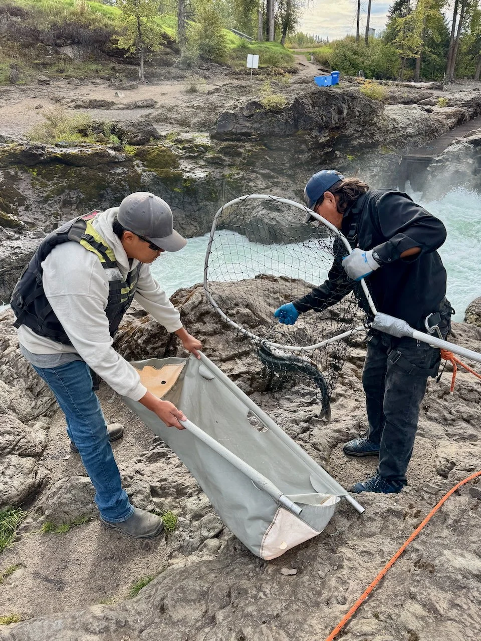 Favorites - 6 of 87.jpeg