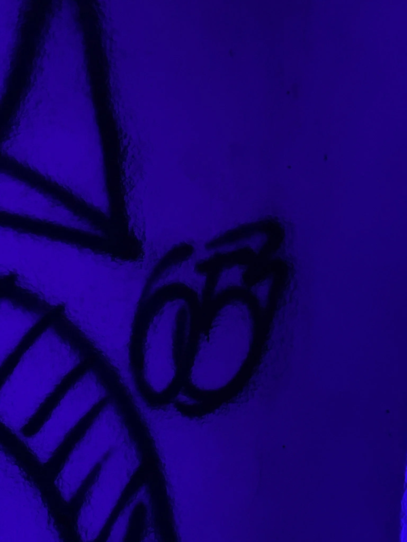 01099bce562df598b1e50ef45bd92e15d4ab2a7847_00002.jpg