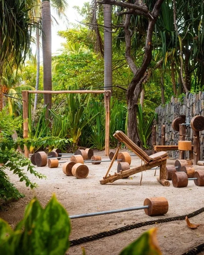 Copy+of+Copy+of+Mizata-Final-Resort-Photos-23-New-JungleGym-Wellness+Large.jpg