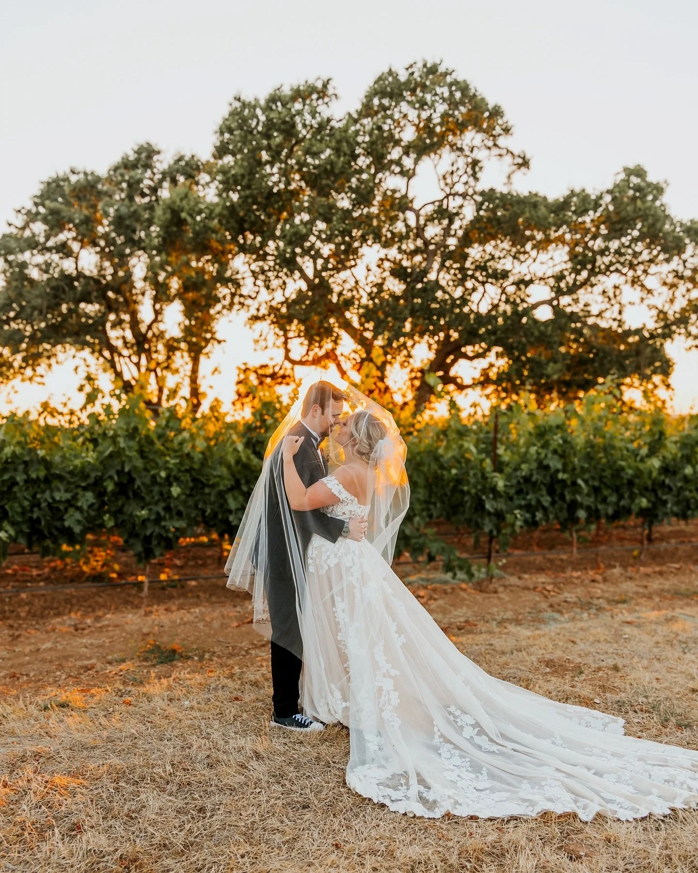 Daydreaming of this fairytale golden hour ✨💍 🤍

#goldenhour #goldenhourphotography #santabarbarawedding #vineyardwedding #californiabride
