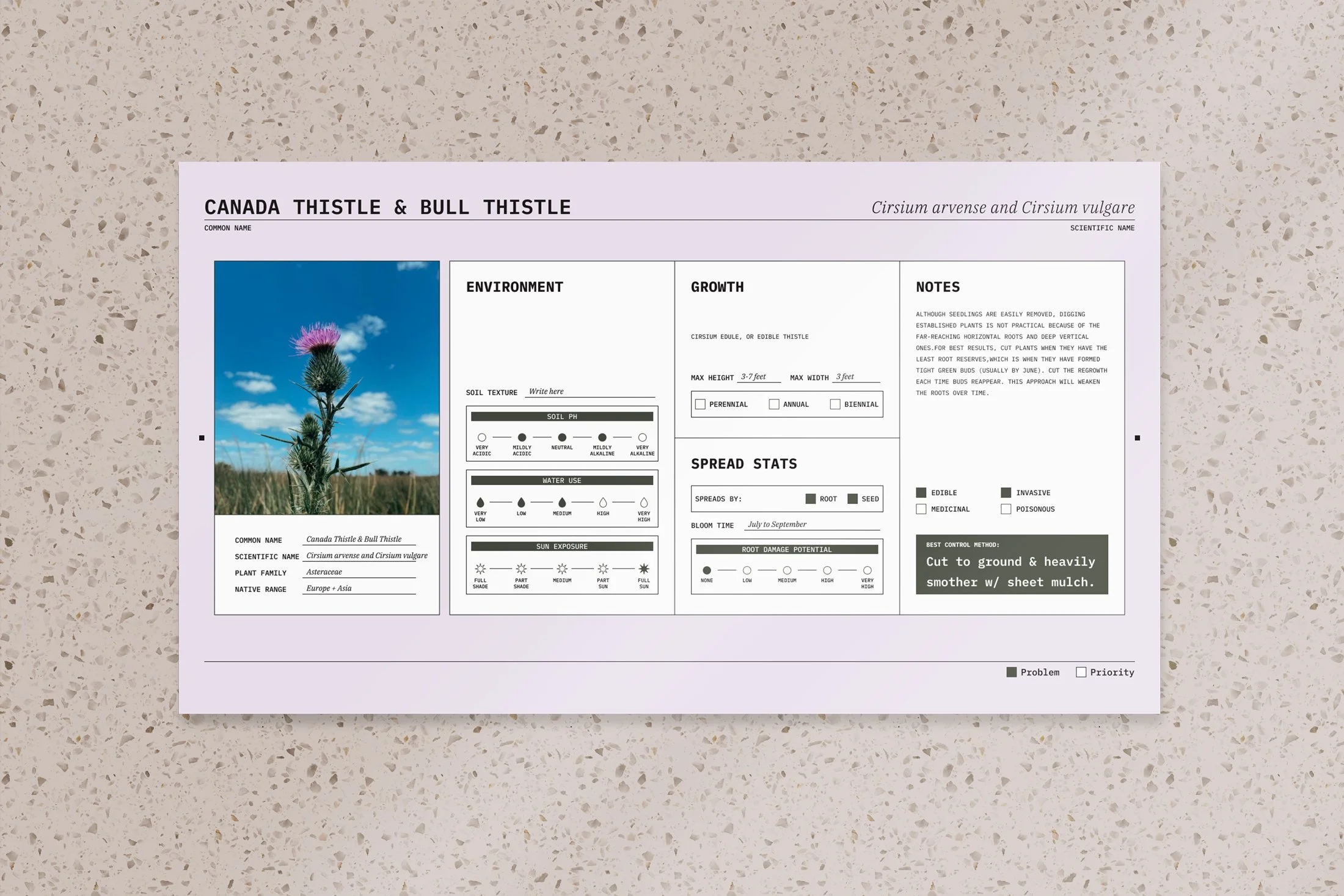 Informational plant identification chart for Canada Thistle and Bull Thistle, displaying environment, growth, notes, spread stats, and image of a thistle plant.