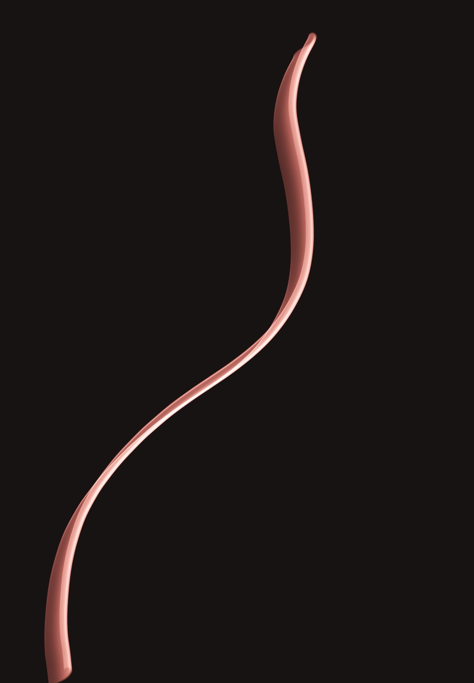 Close-up view of a single, curved, pinkish-beige object against a black background.