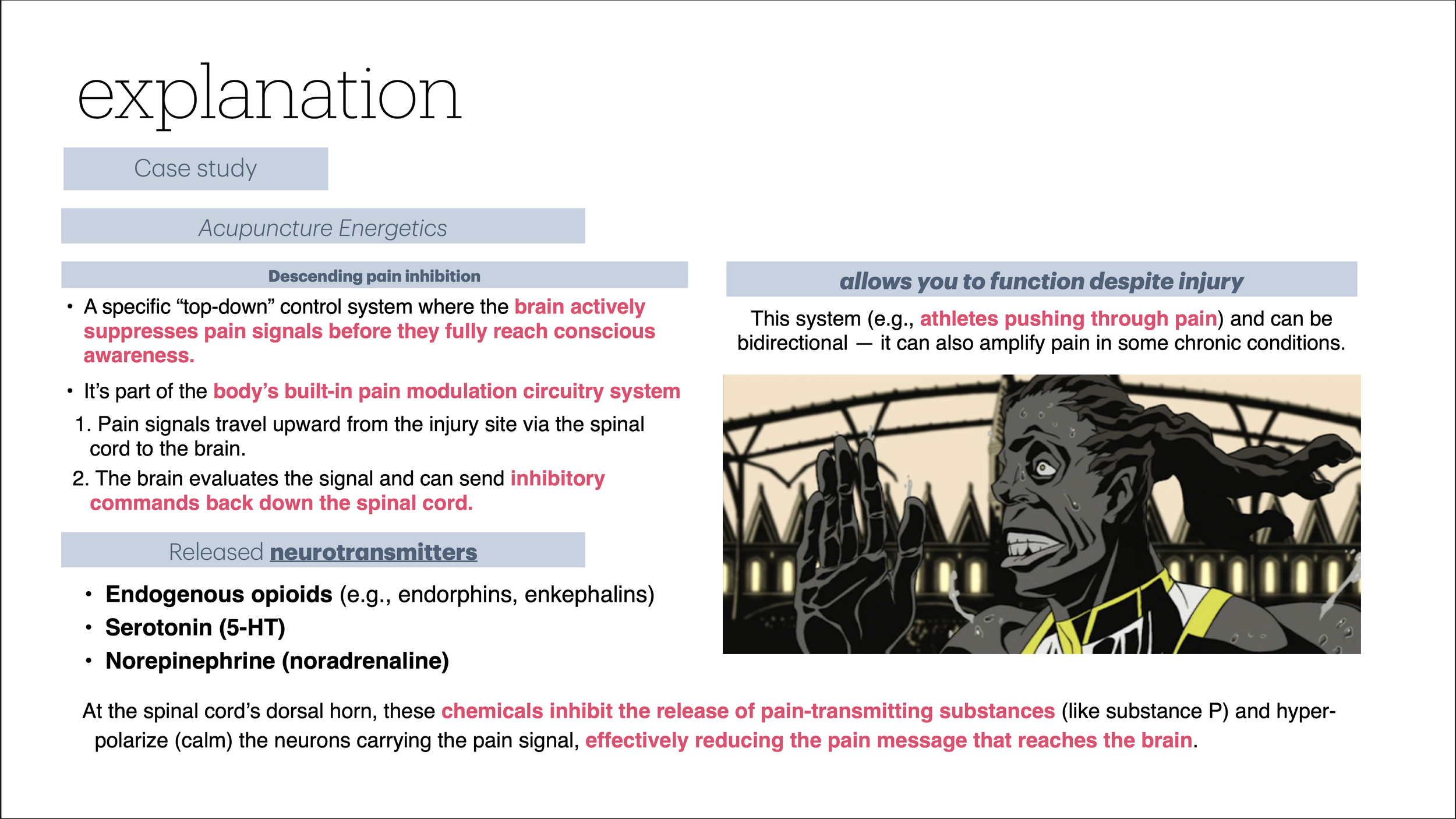 Screenshot 2026-04-16 at 11.12.40 AM.png