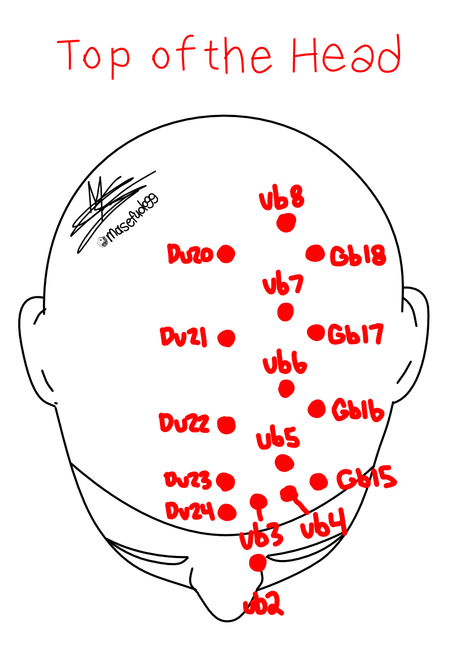 05 top of head.png