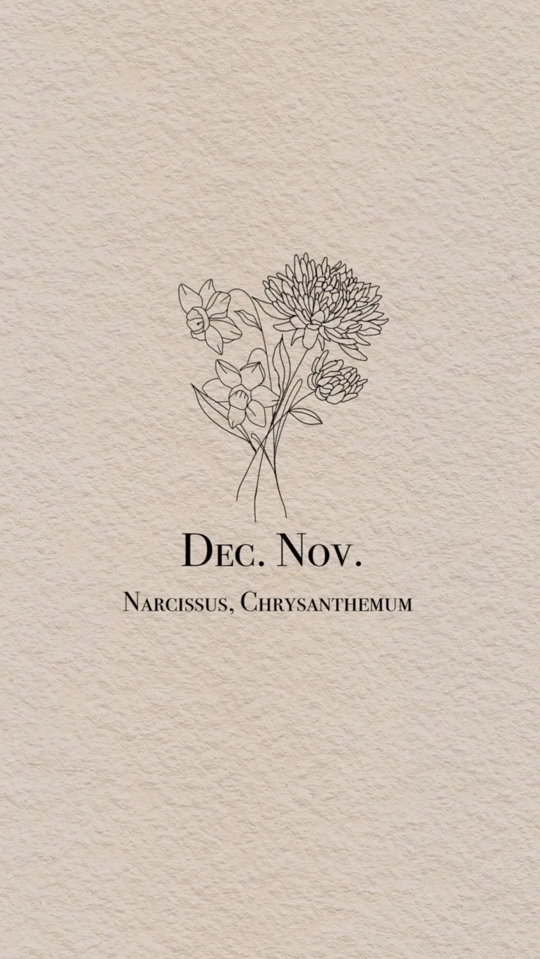 A minimalistic line drawing of narcissus and chrysanthemum flowers on textured beige paper with the text 'Dec. Nov. Narcissus, Chrysanthemum'.
