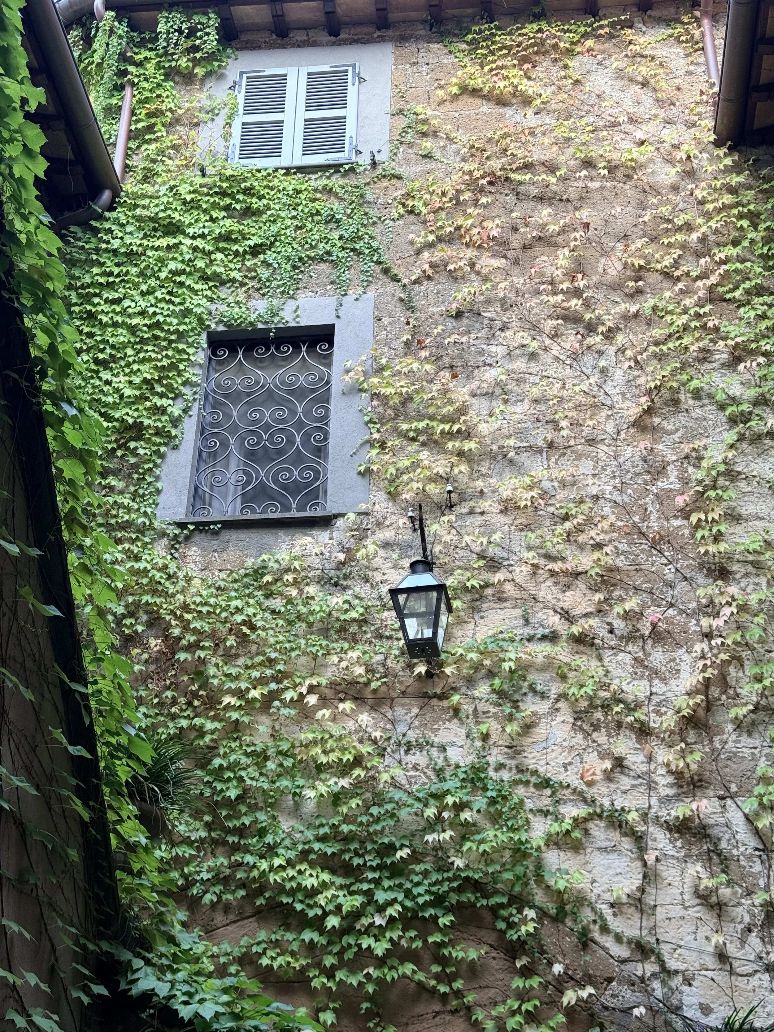 IMG_8292.jpeg