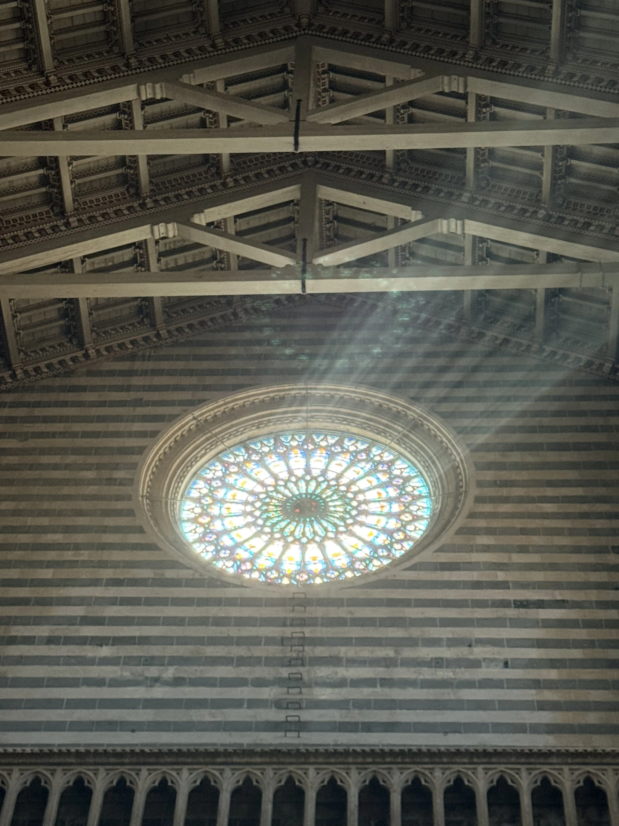IMG_8254.jpeg