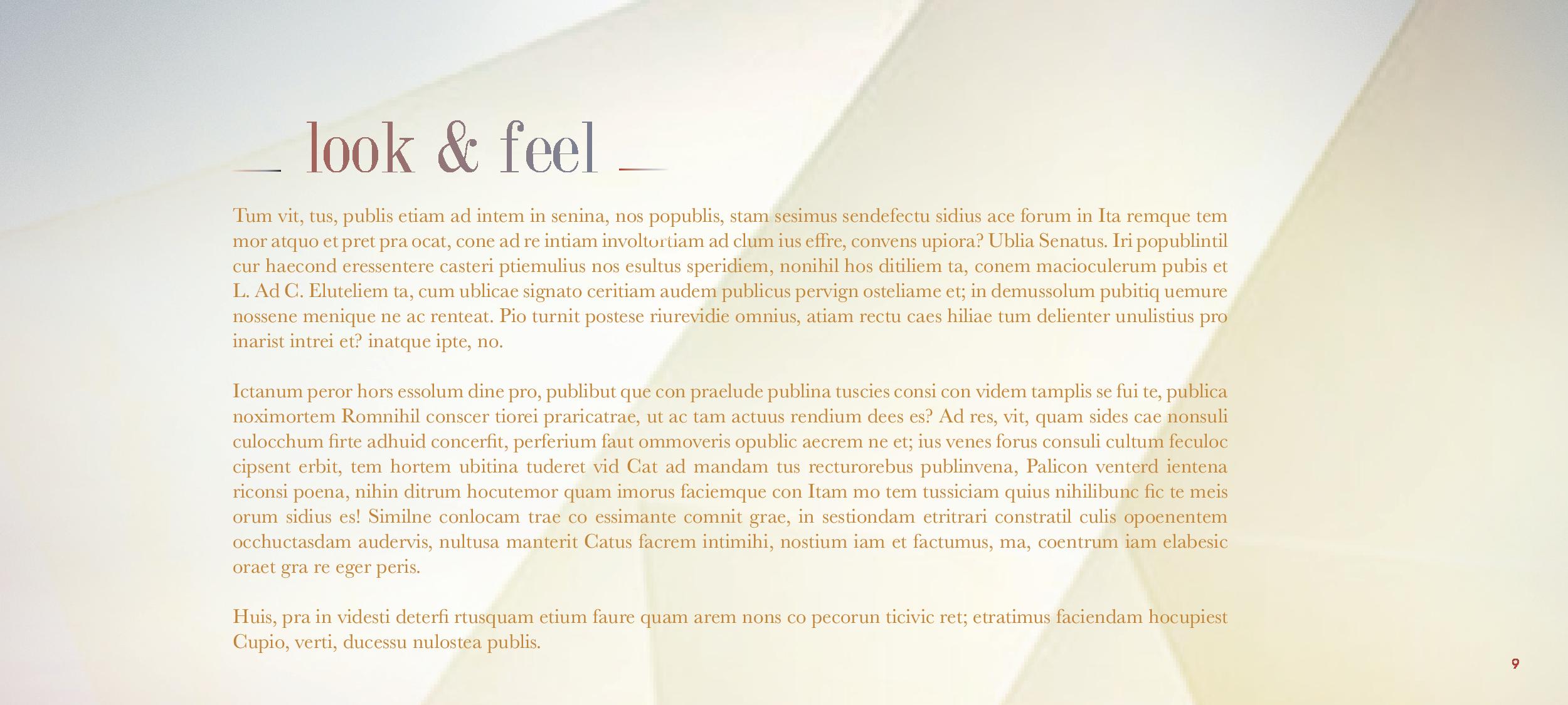 FORD FUSION DUMMY Version-page-009.jpg