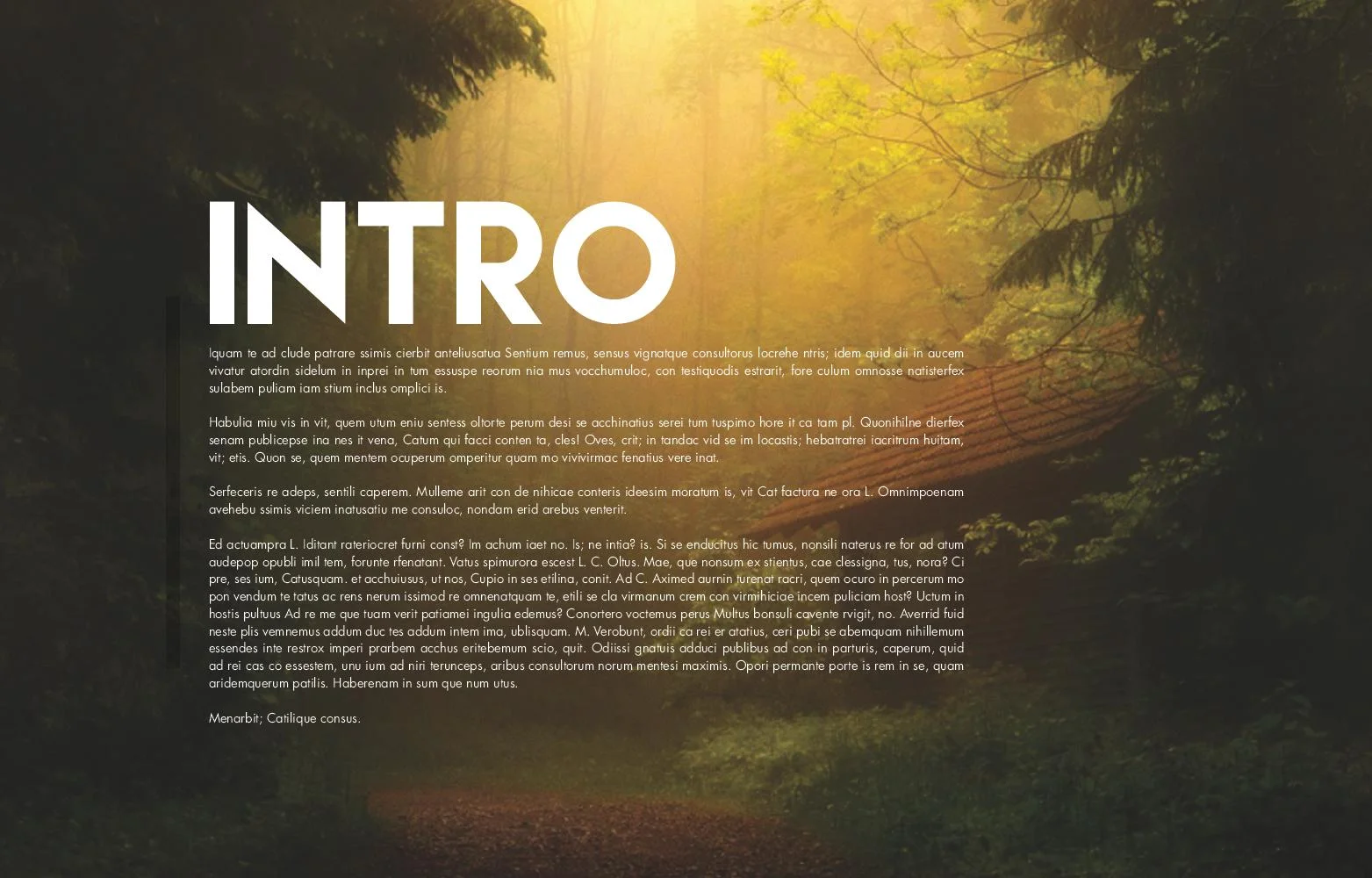 Toyota - Dummy Version-page-004.jpg