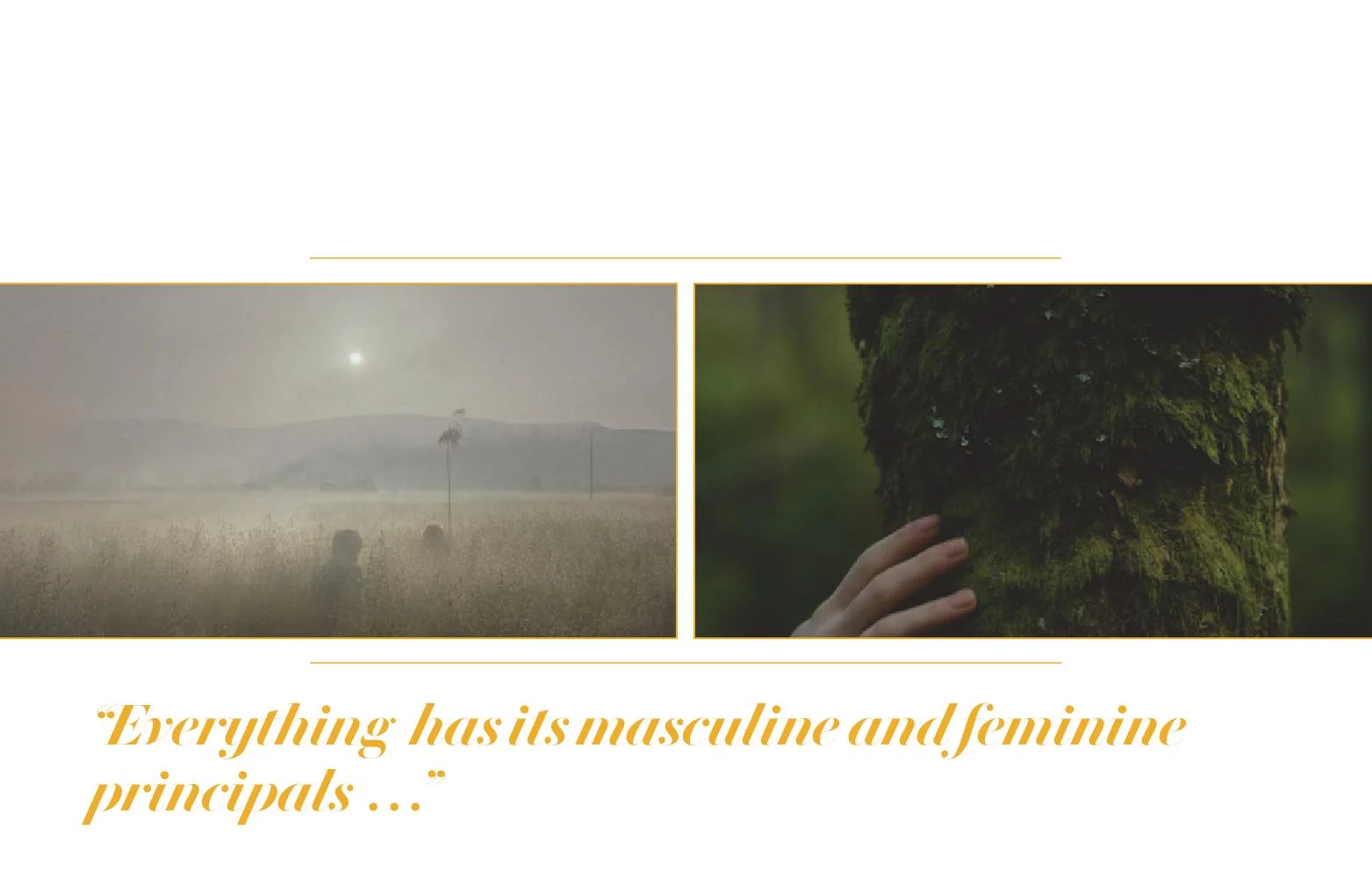 Toyota - Dummy Version-page-006.jpg