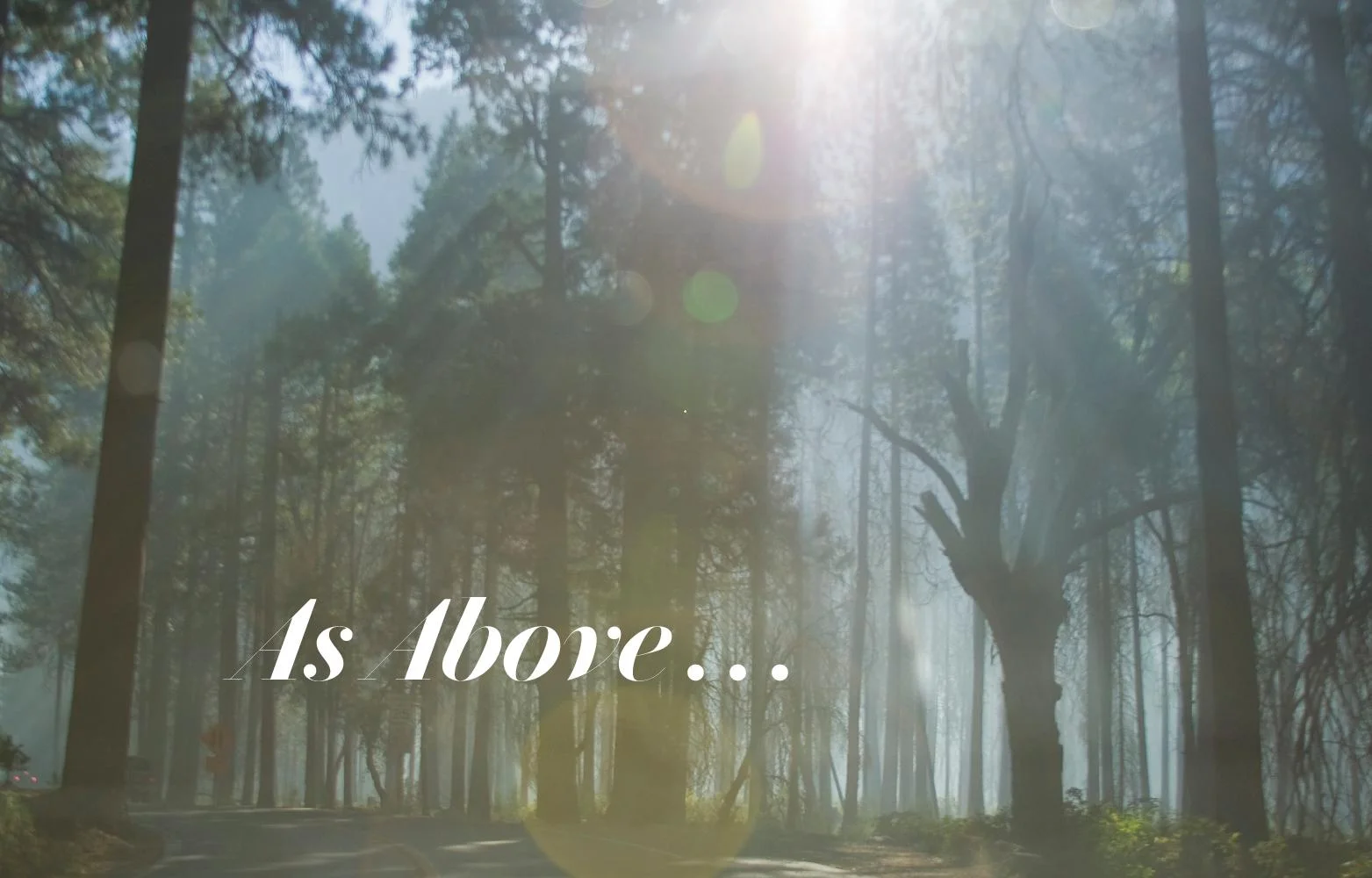 Toyota - Dummy Version-page-016.jpg