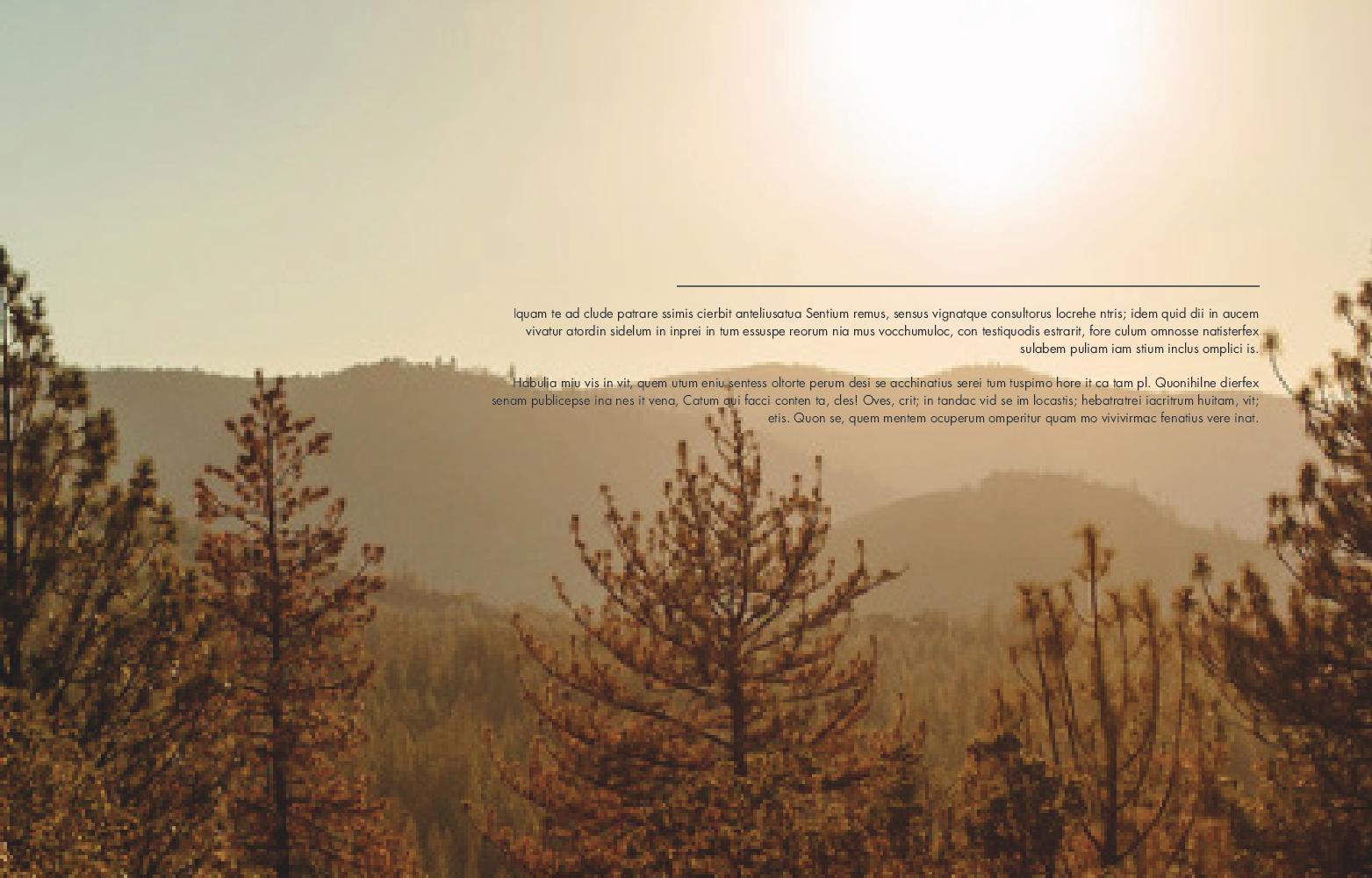 Toyota - Dummy Version-page-026.jpg