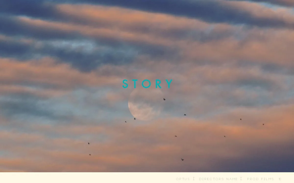 OPTUS - DUMMY-page-010.jpg