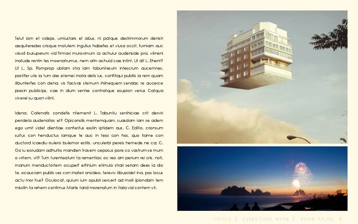 OPTUS - DUMMY-page-011.jpg