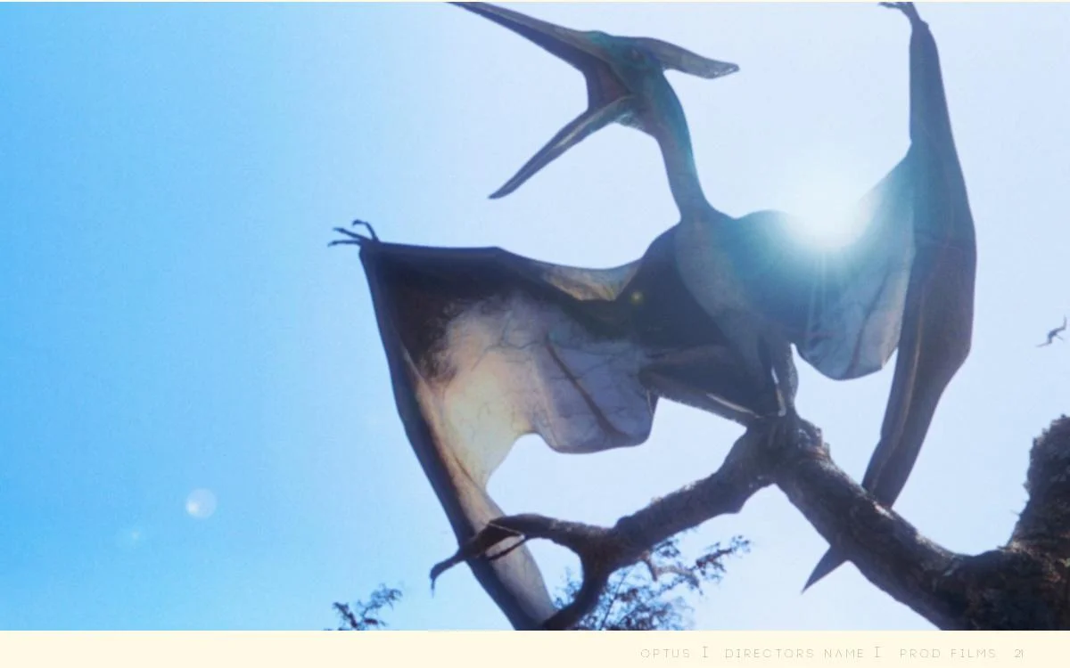 OPTUS - DUMMY-page-021.jpg