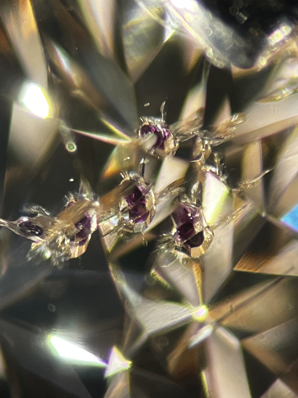 Incredible Garnet inclusions in Diamond.