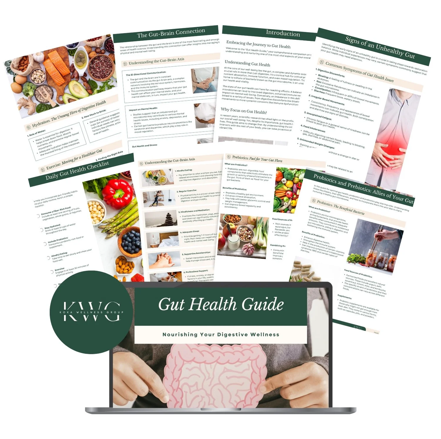 Free Gut Health Guide