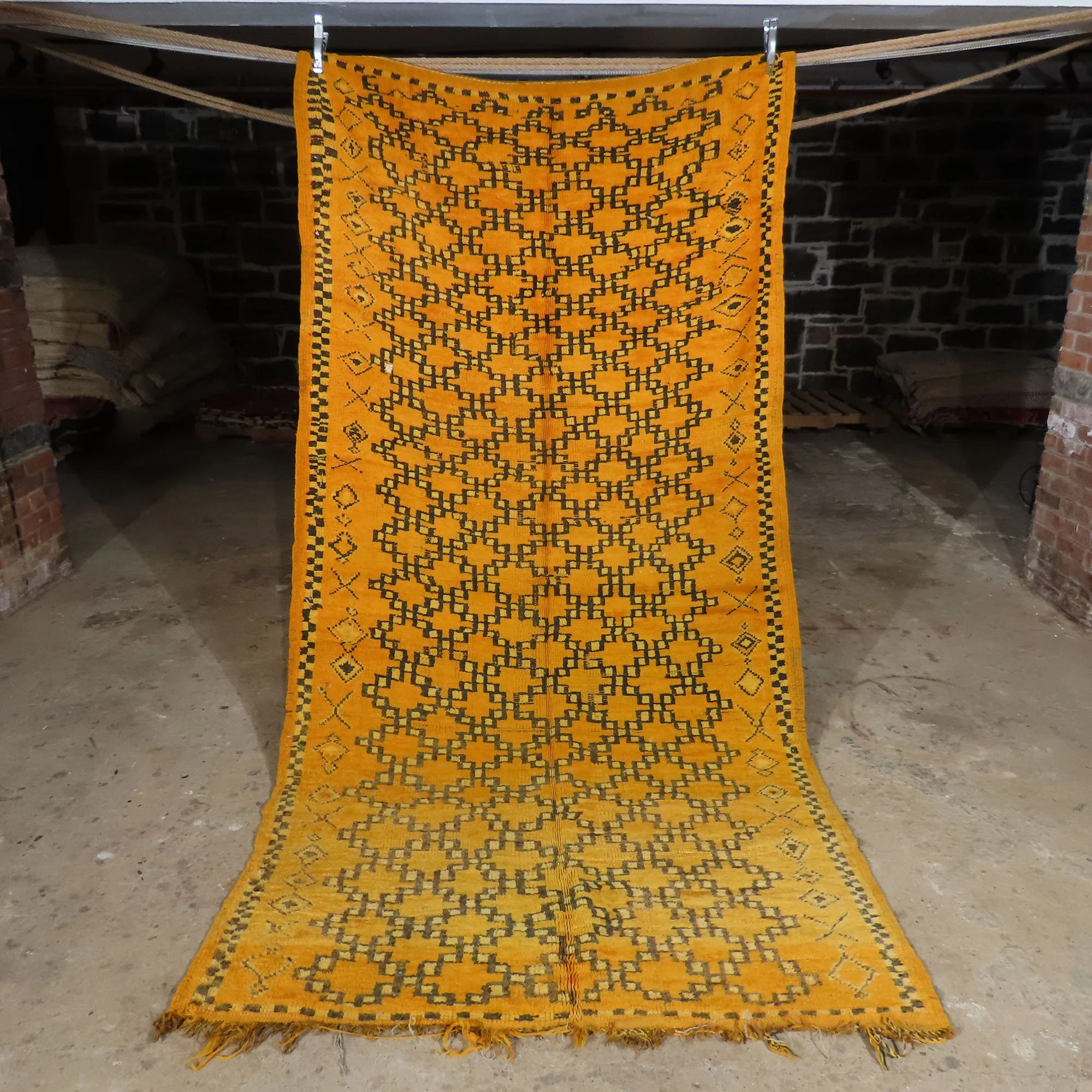117''x59''