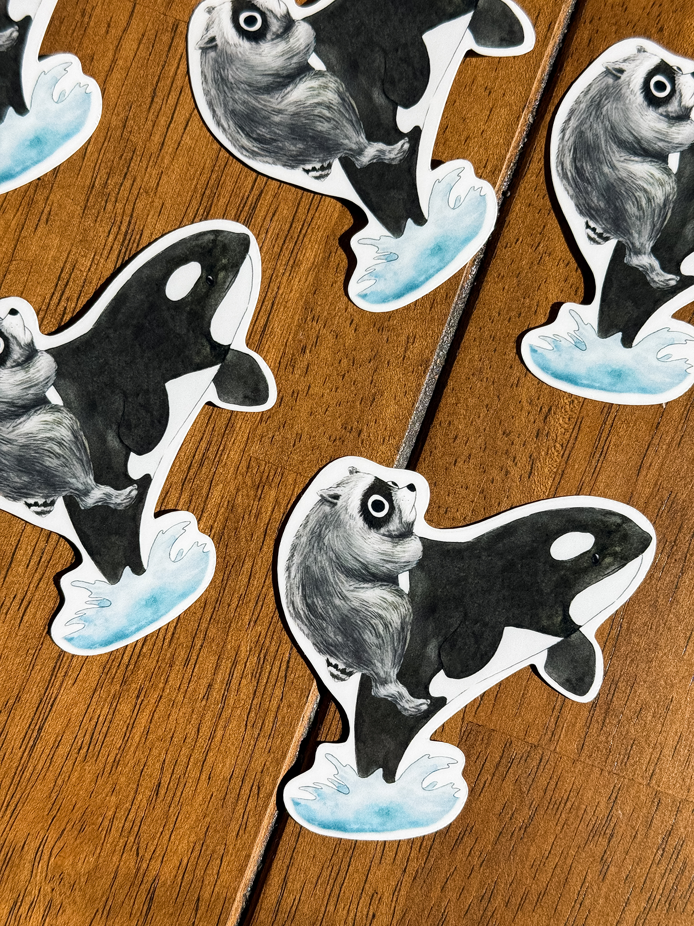 jimothy orca.png