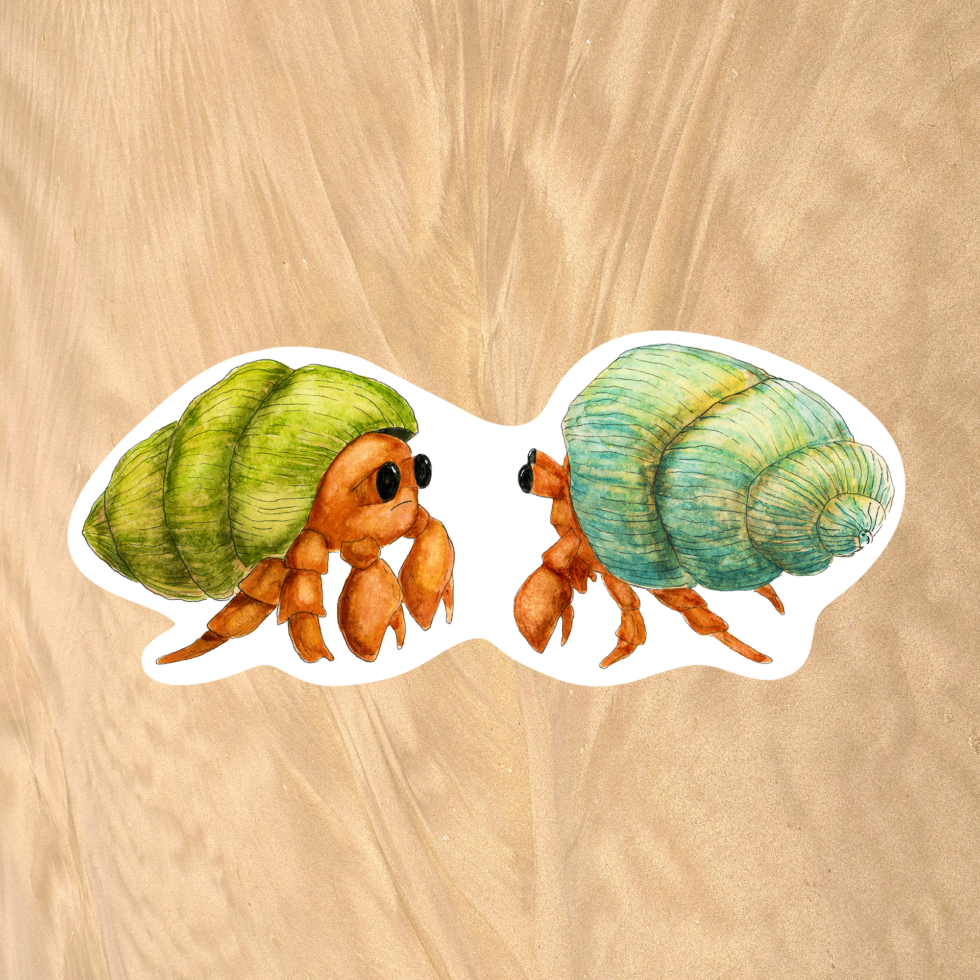 Hermit Crabs Sticker
