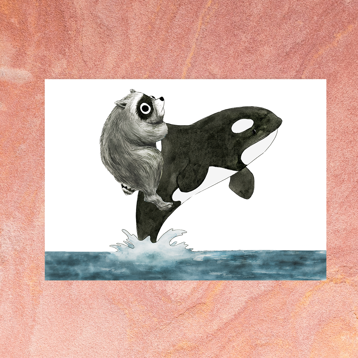 jimothy orca 5x7.png