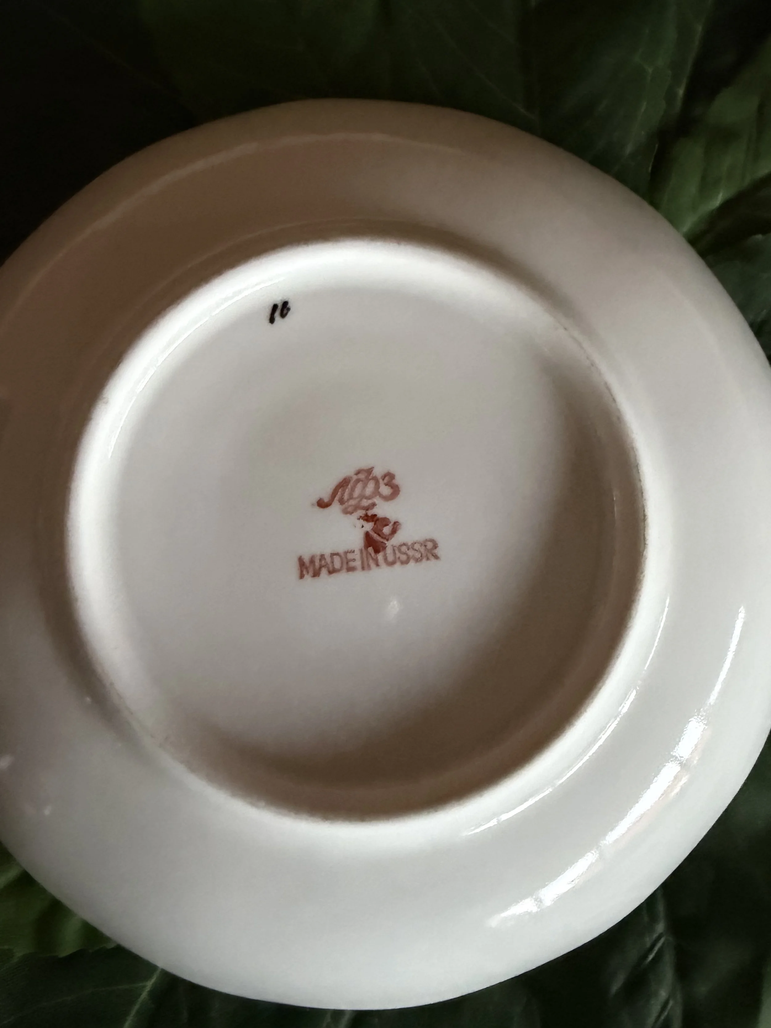 IMG_4057.jpeg
