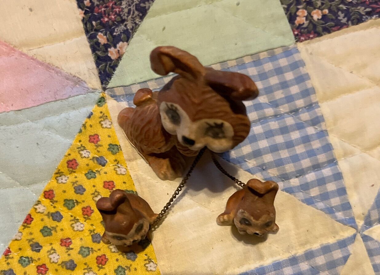 bunny3.jpeg