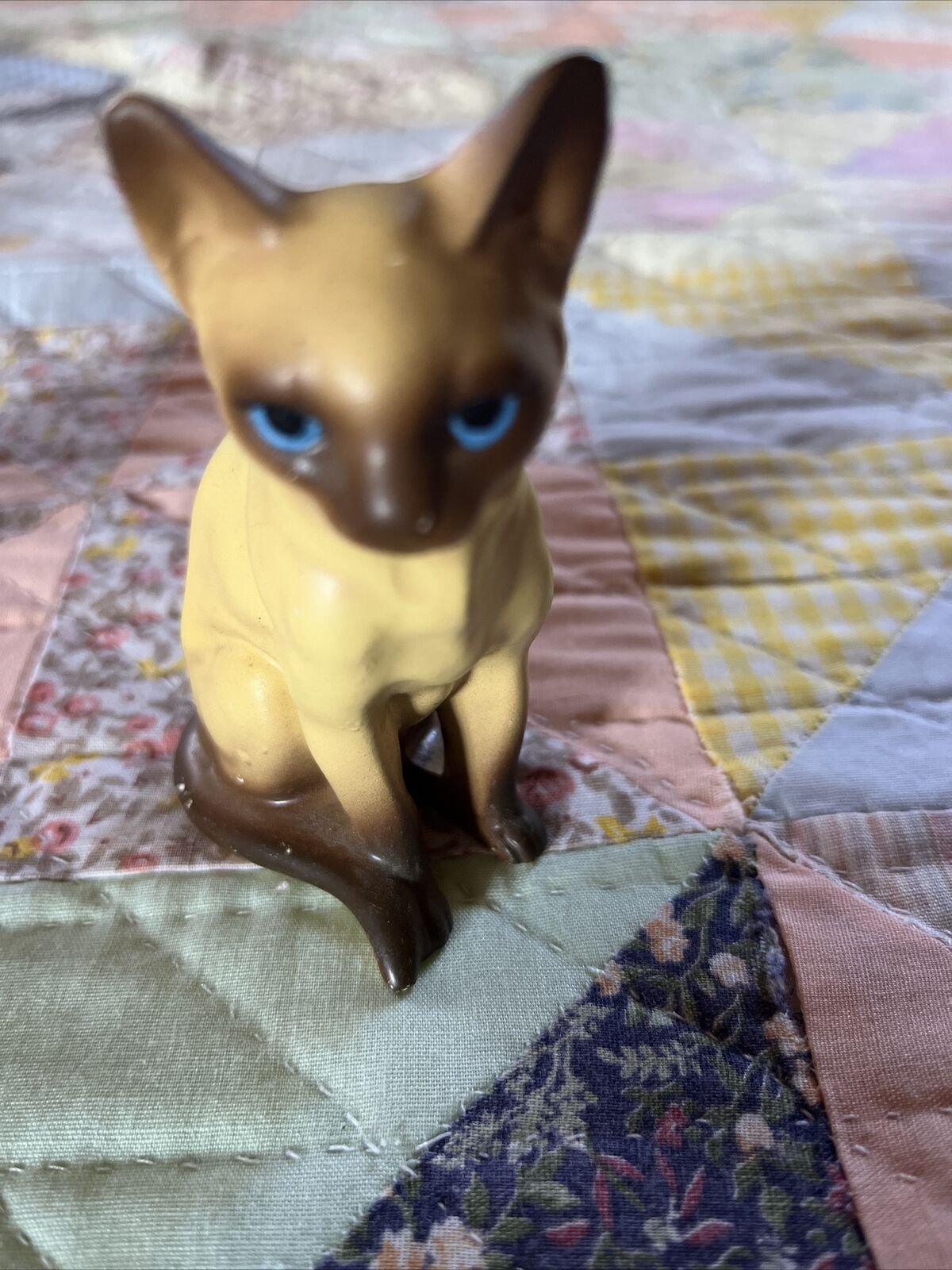 cat3.jpeg