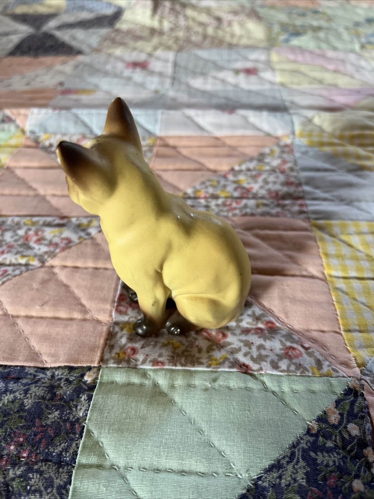 cat5.jpeg