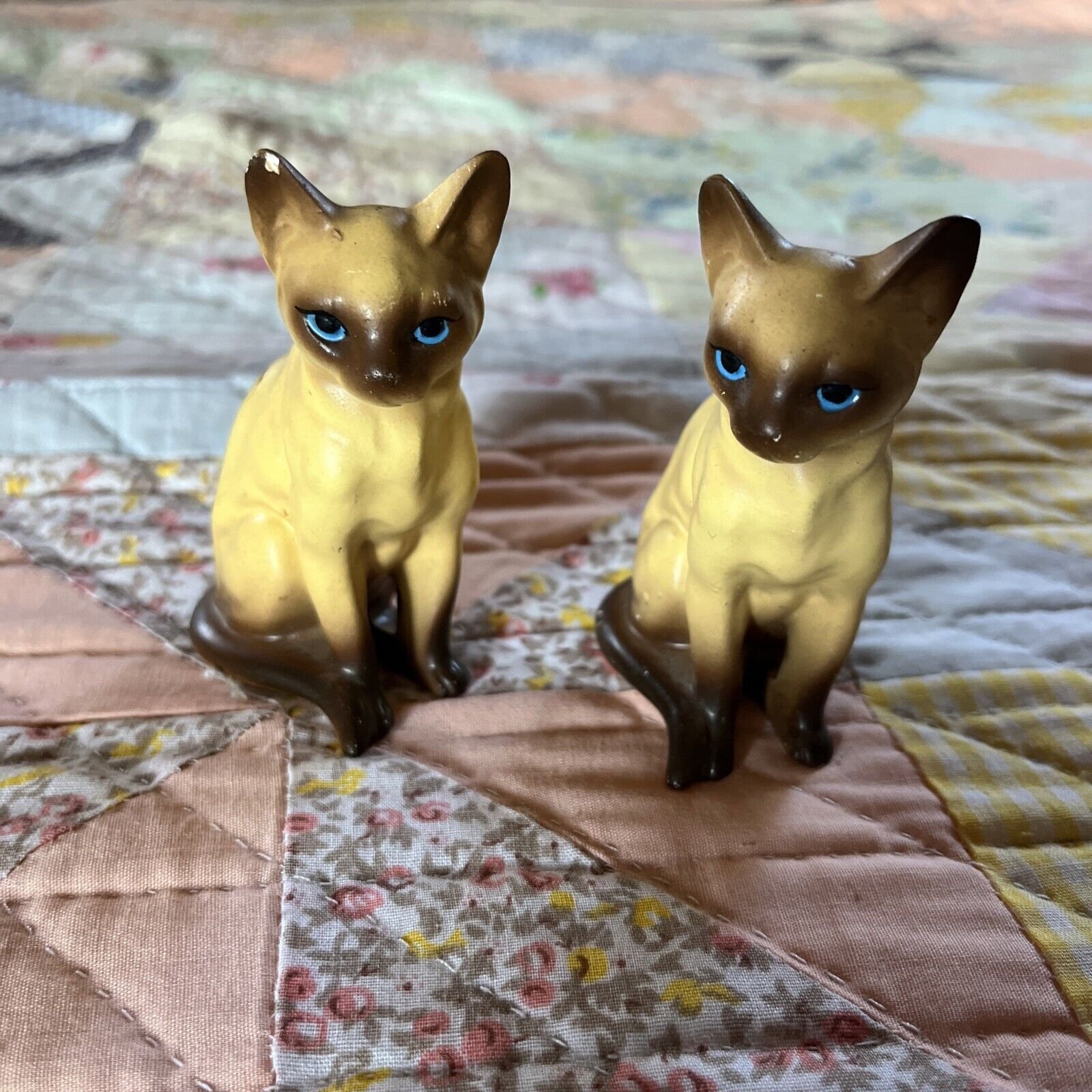 cats1.jpeg