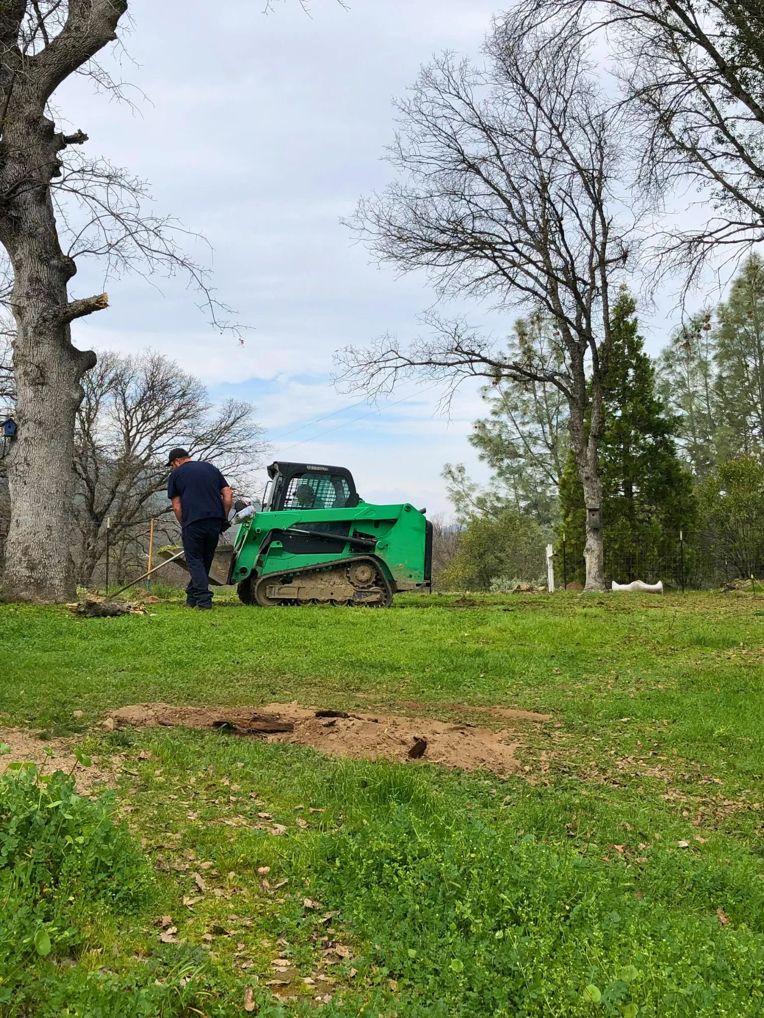 Man operating a small green track loader on a grassy yard with trees and cloudy sky.