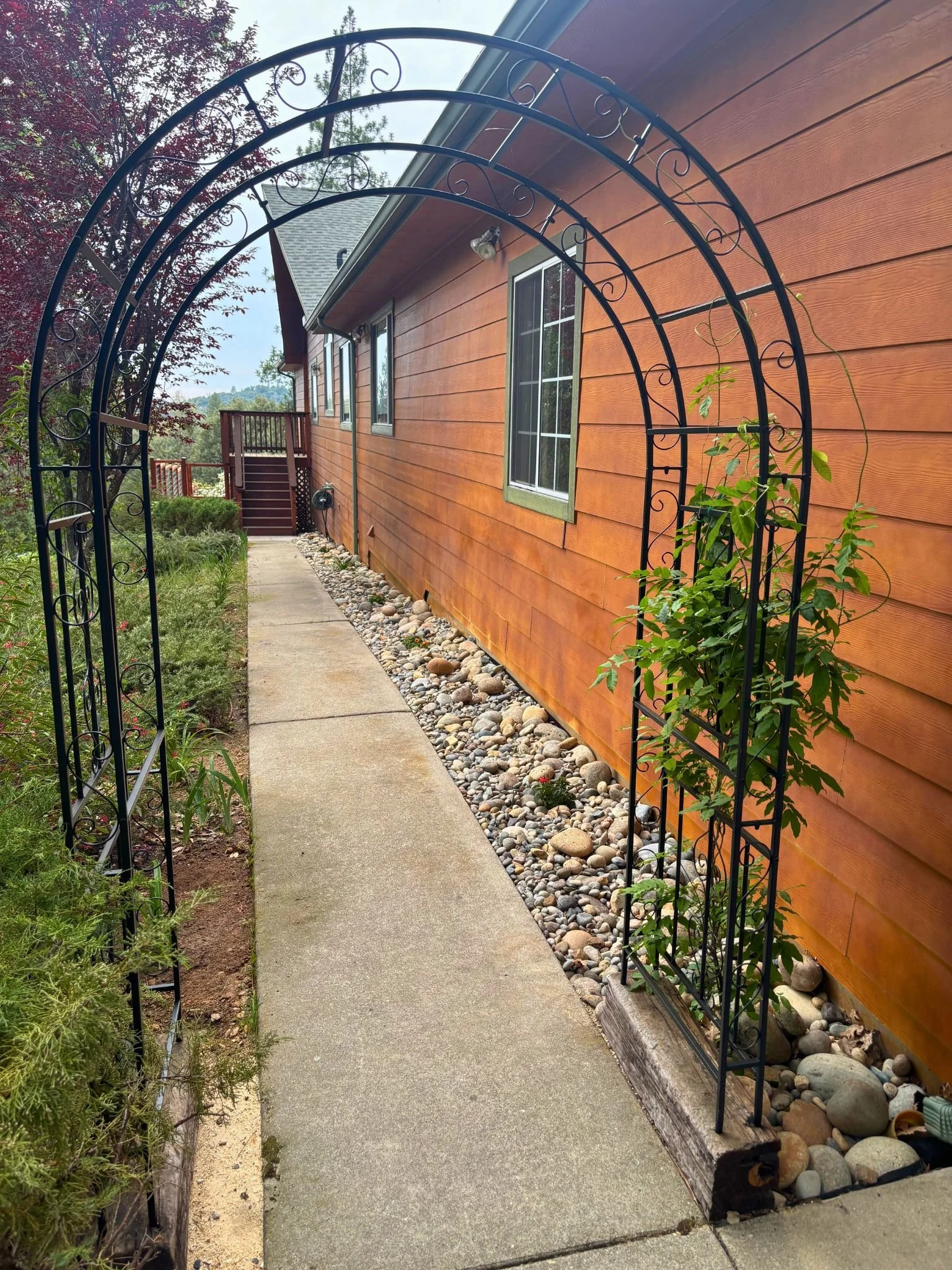 A concrete sidewalk runs beside a wooden house with red siding and multiple windows. An arch-shaped black metal trellis is positioned at the entrance, partially covered with a climbing plant. To the left, there are lush green bushes and trees, and a 