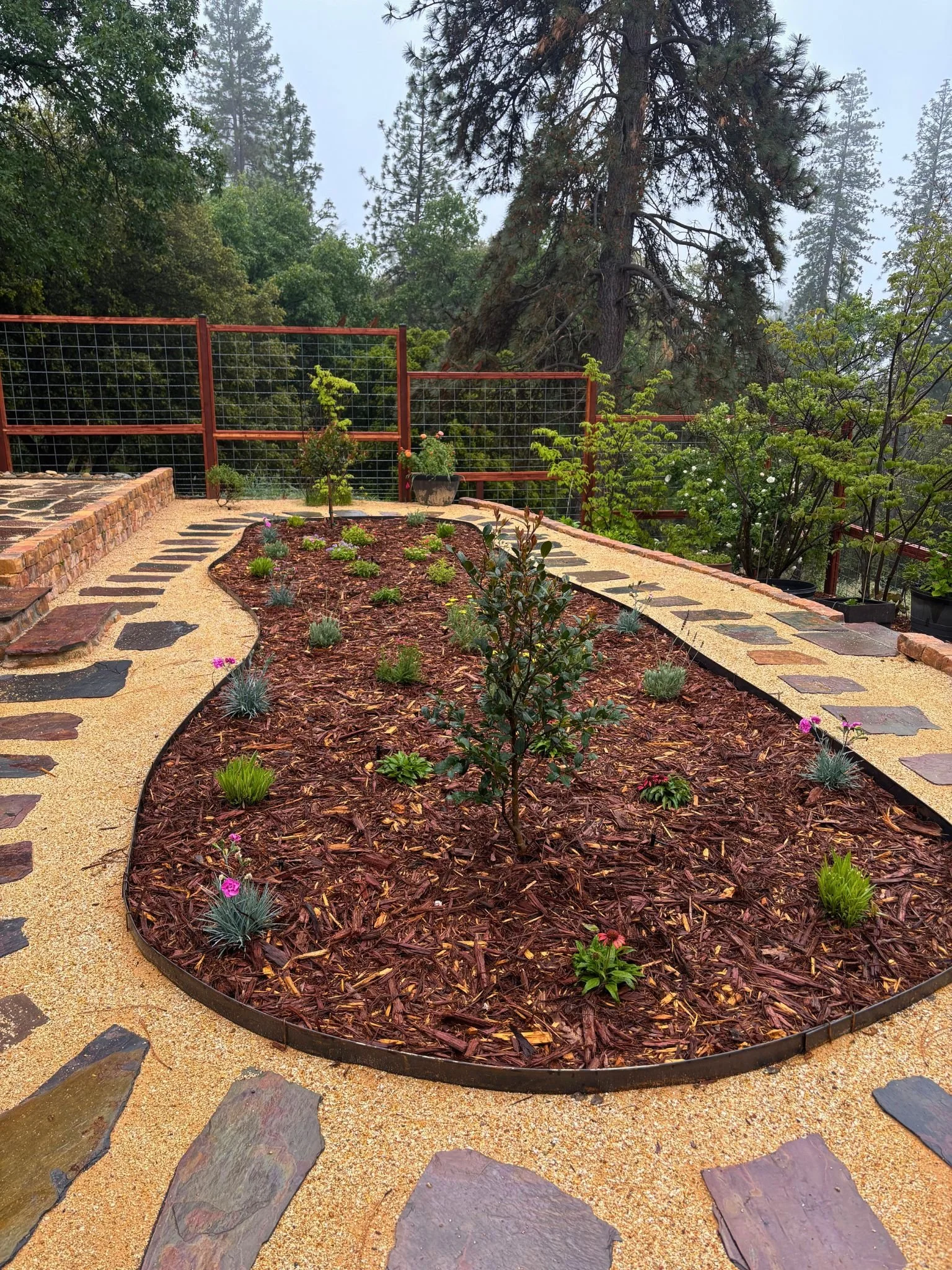 A landscaped garden with a winding stone pathway, surrounded by new plants and mulch, with trees and greenery in the background.