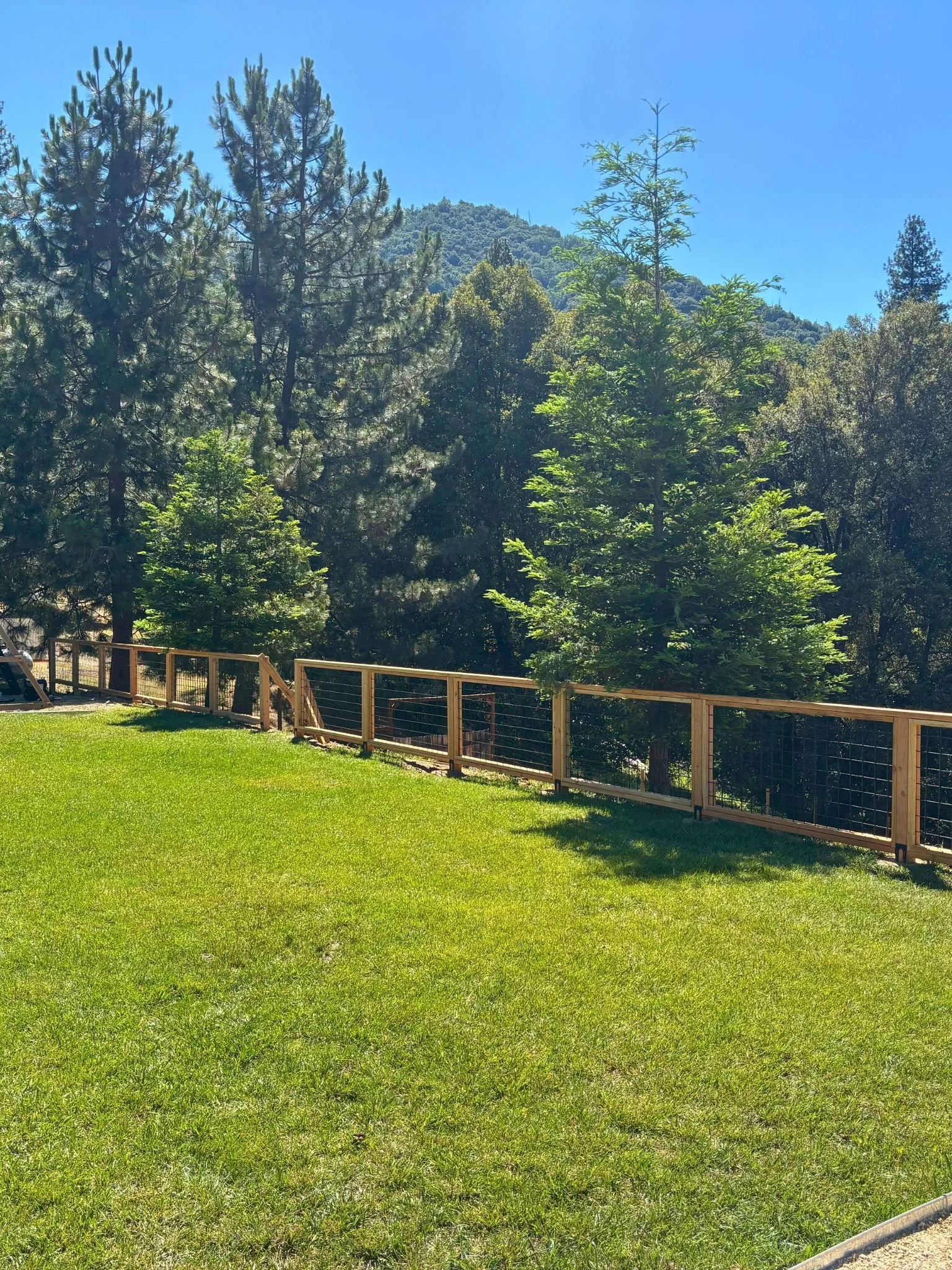 A lush green backyard with a wooden fence, set against a backdrop of tall pine trees and mountain hills under a clear blue sky.