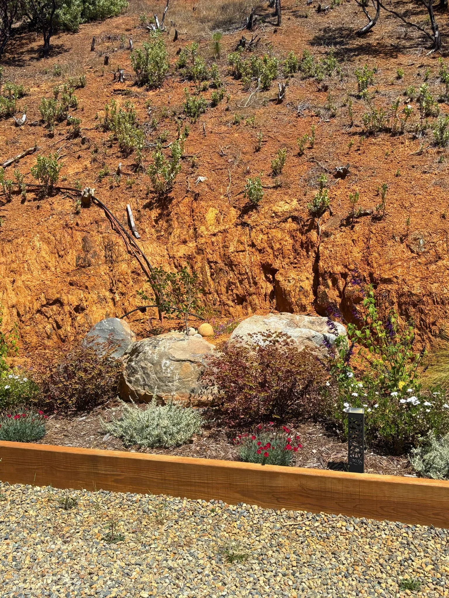 A desert landscape with small green bushes and trees, some with blackened branches, dry orange soil, and large rocks and loose gravel in the foreground. A black decorative post is at the bottom right.