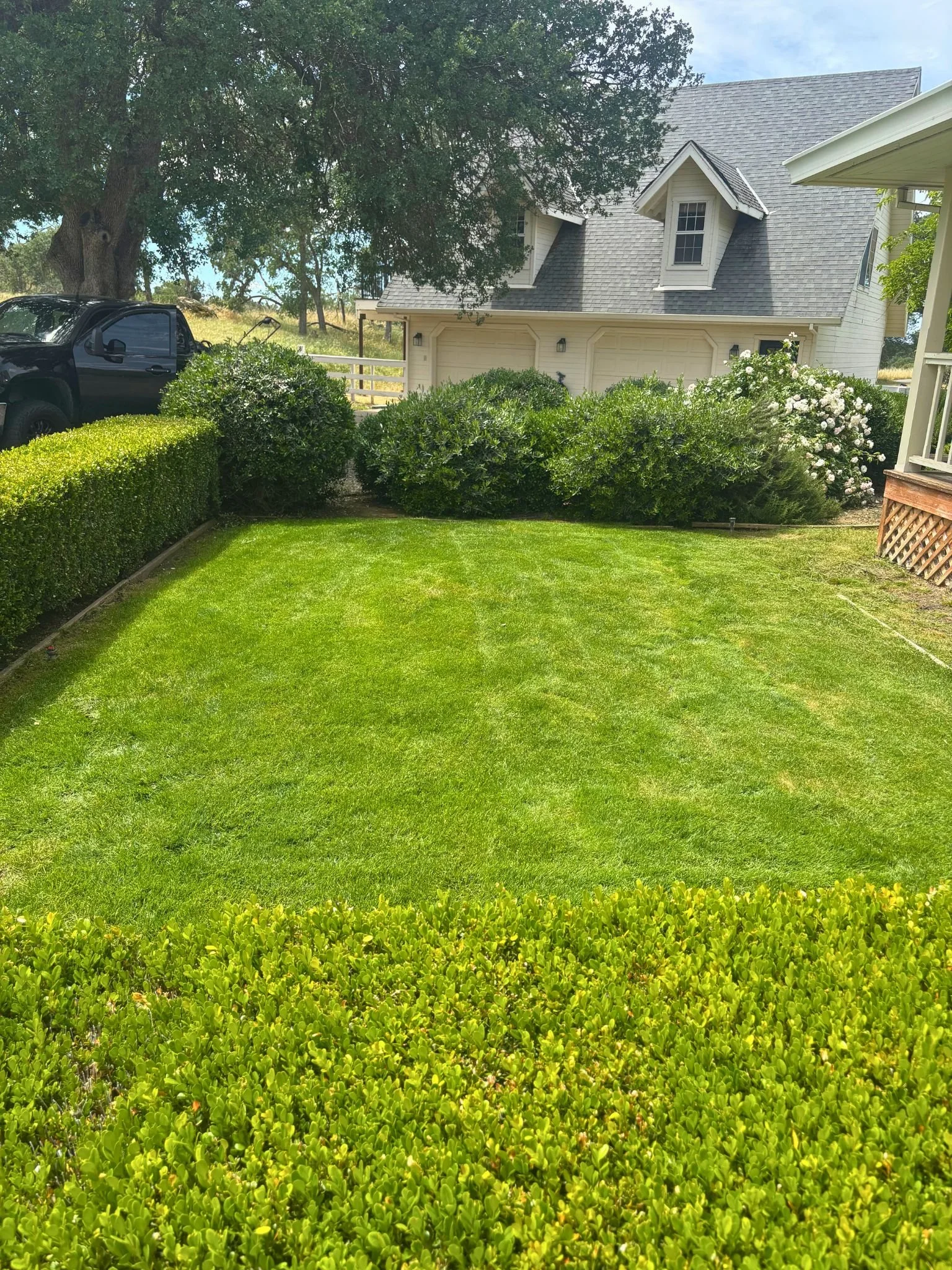 A well-maintained lawn with green grass, bordered by neatly trimmed bushes and shrubs. A large tree with spreading branches stands behind the bushes, providing shade. In the background, there is a house with light-colored siding, a gray roof, and sma