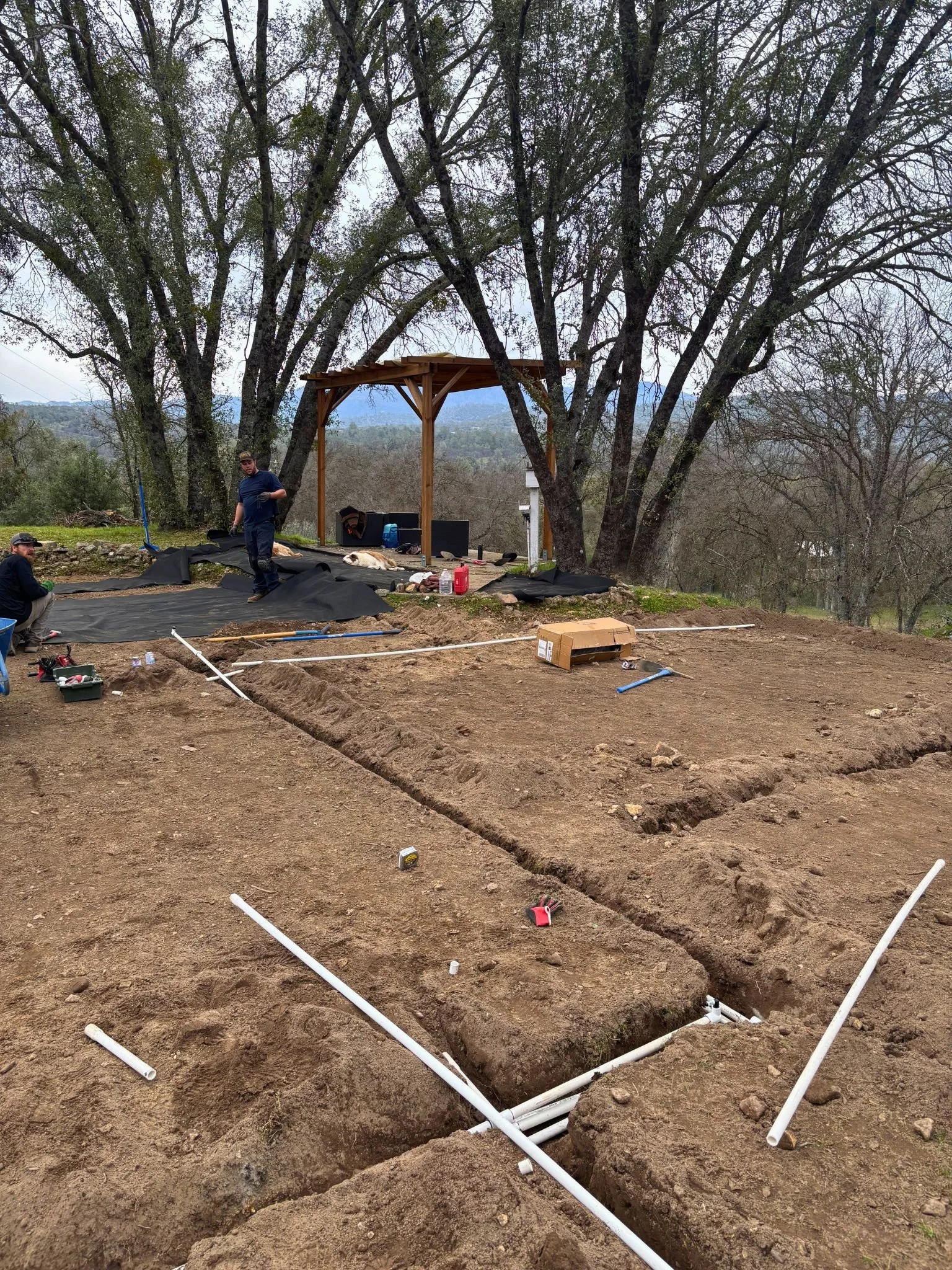 People working on installing a pipe system in an outdoor construction site with large trees and a shelter in the background.
