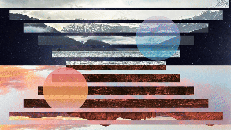 Reality is Perception | Visual Essay