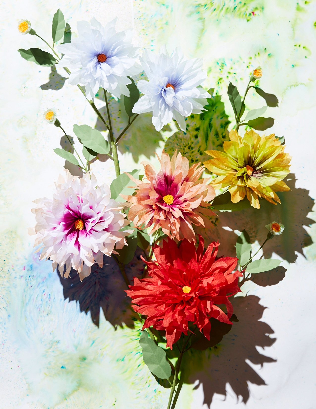 Dahlia Stems.jpeg