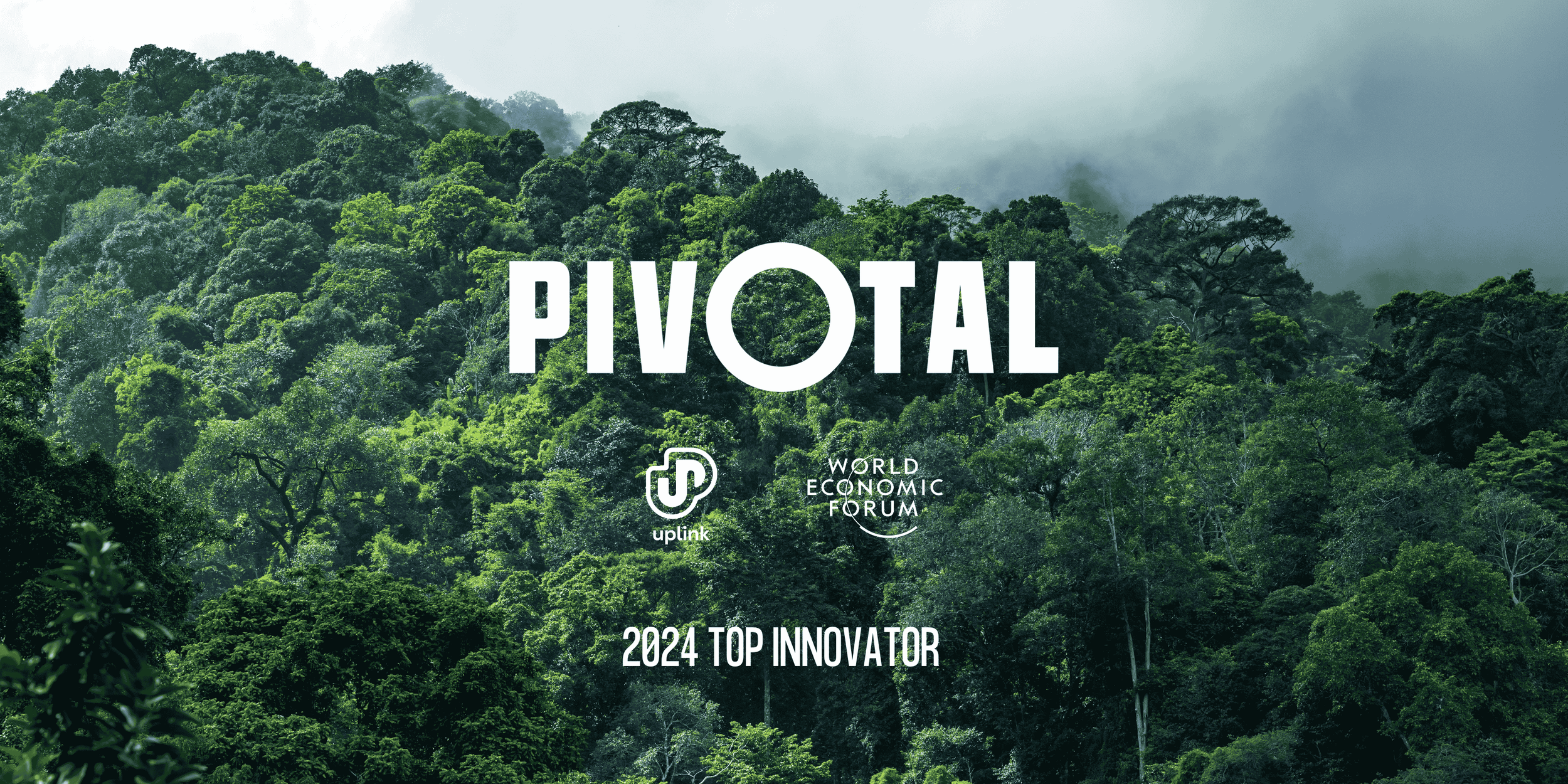 pivotal top innovator.png