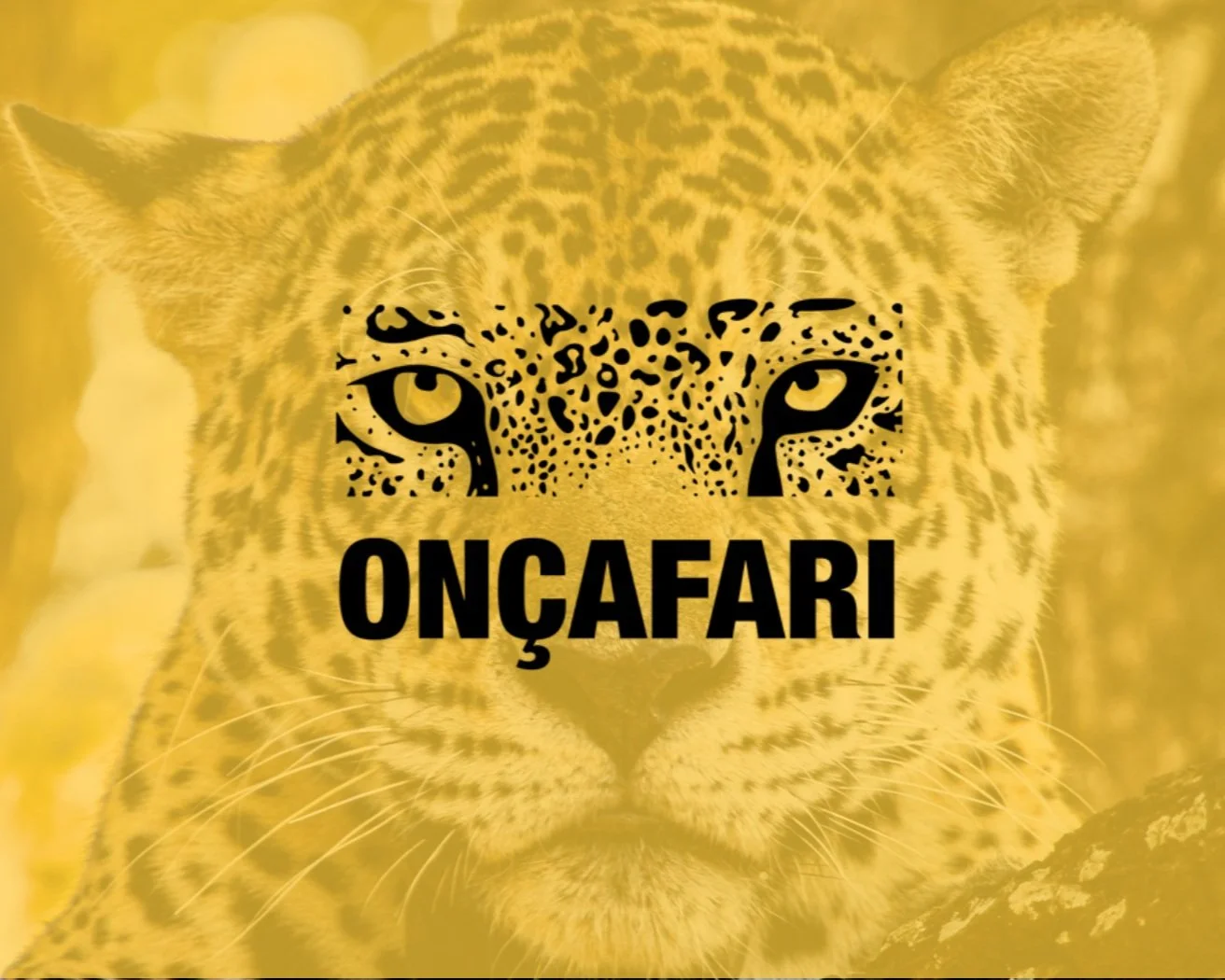 oncafari image.jpg