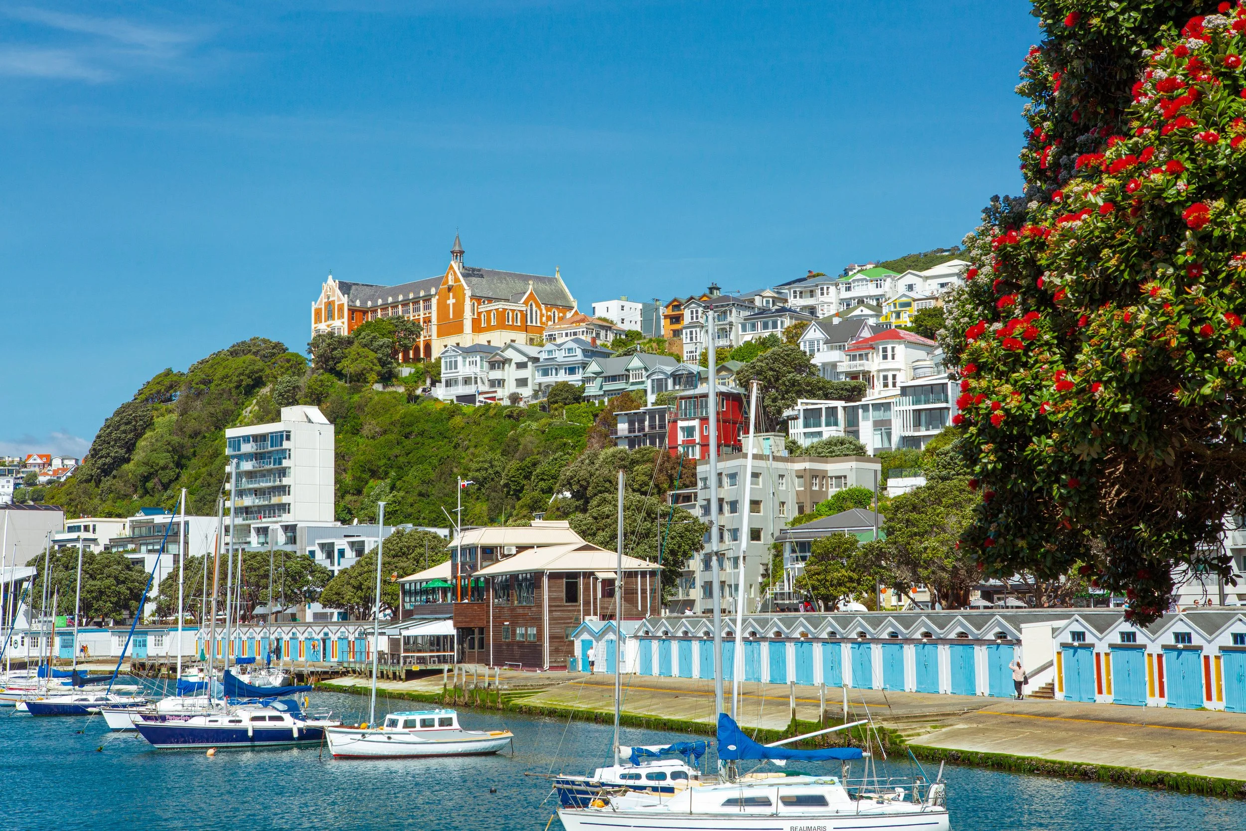 WNZ_Boat Sheds_21112020_Credit Wellingtonnz_Celeste Fontein15.jpeg