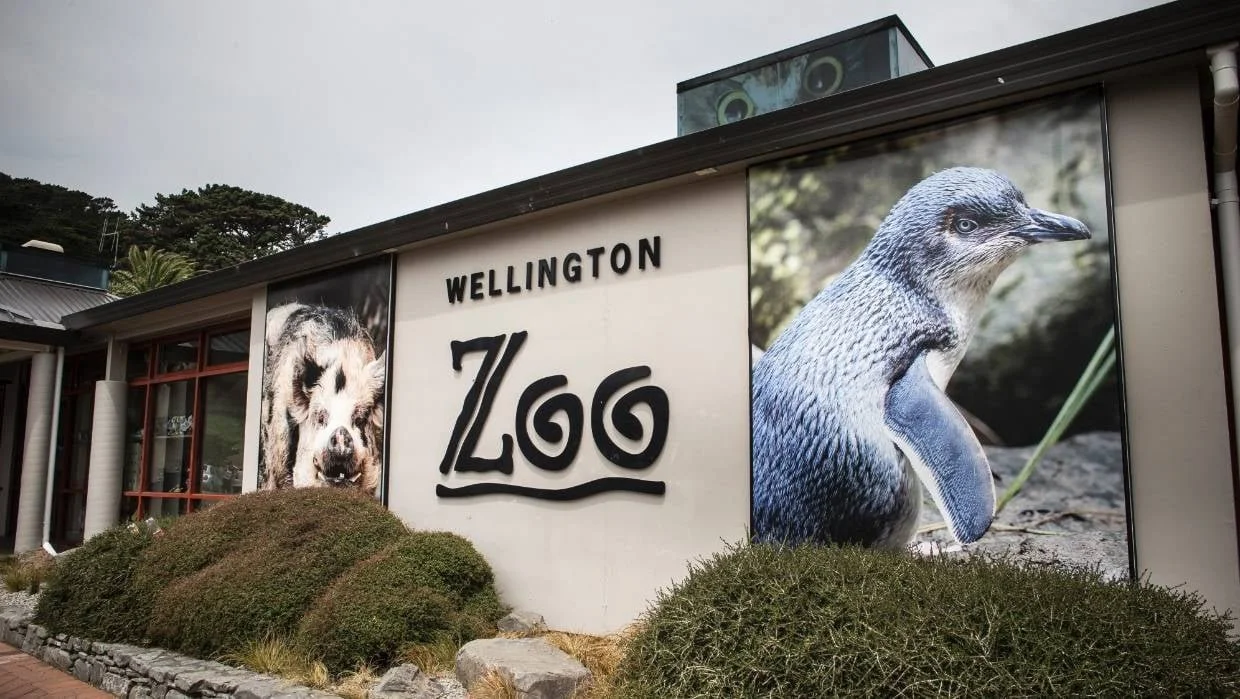 wellington-zoo-858785.jpg